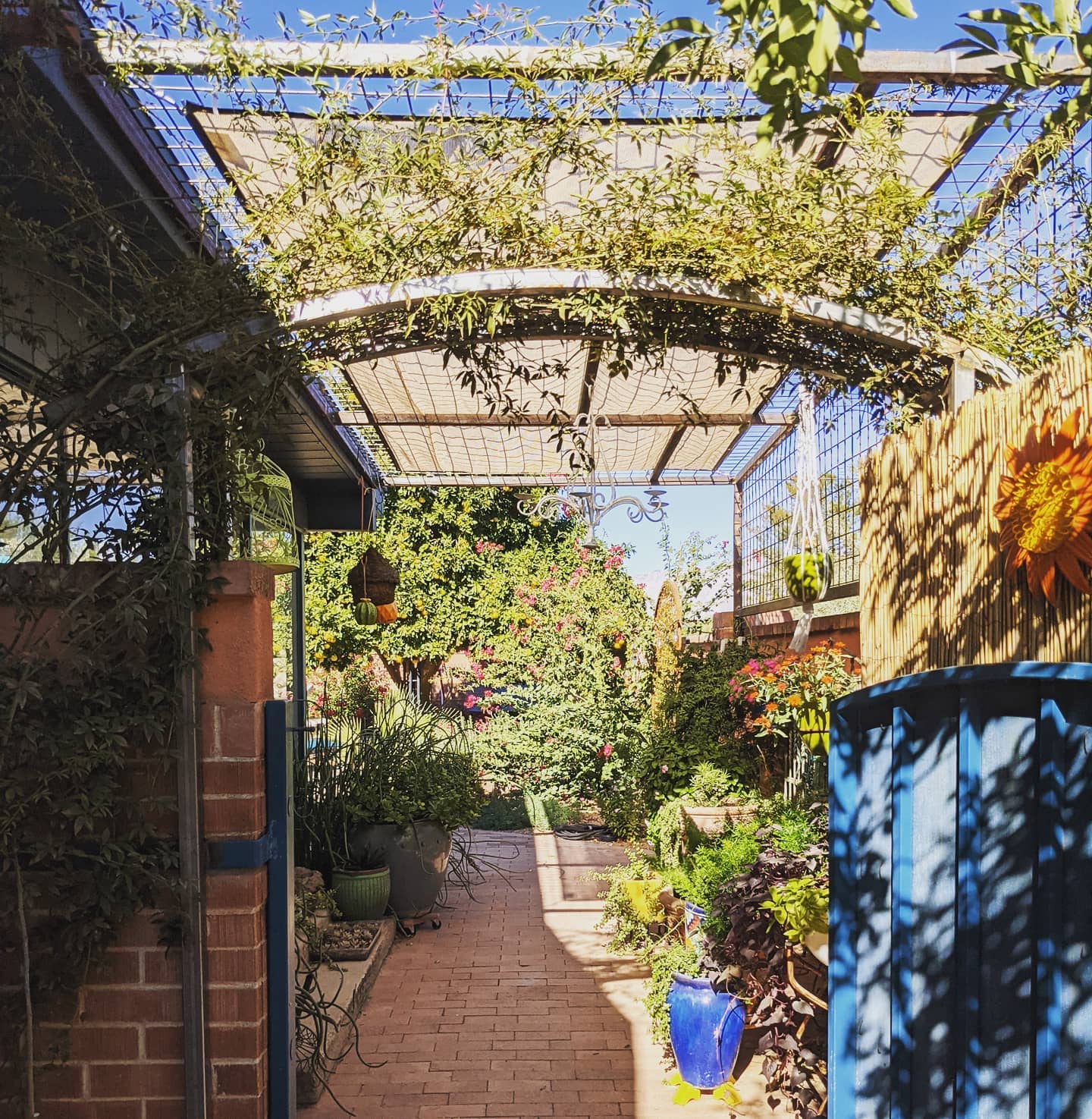 Trellis walkway