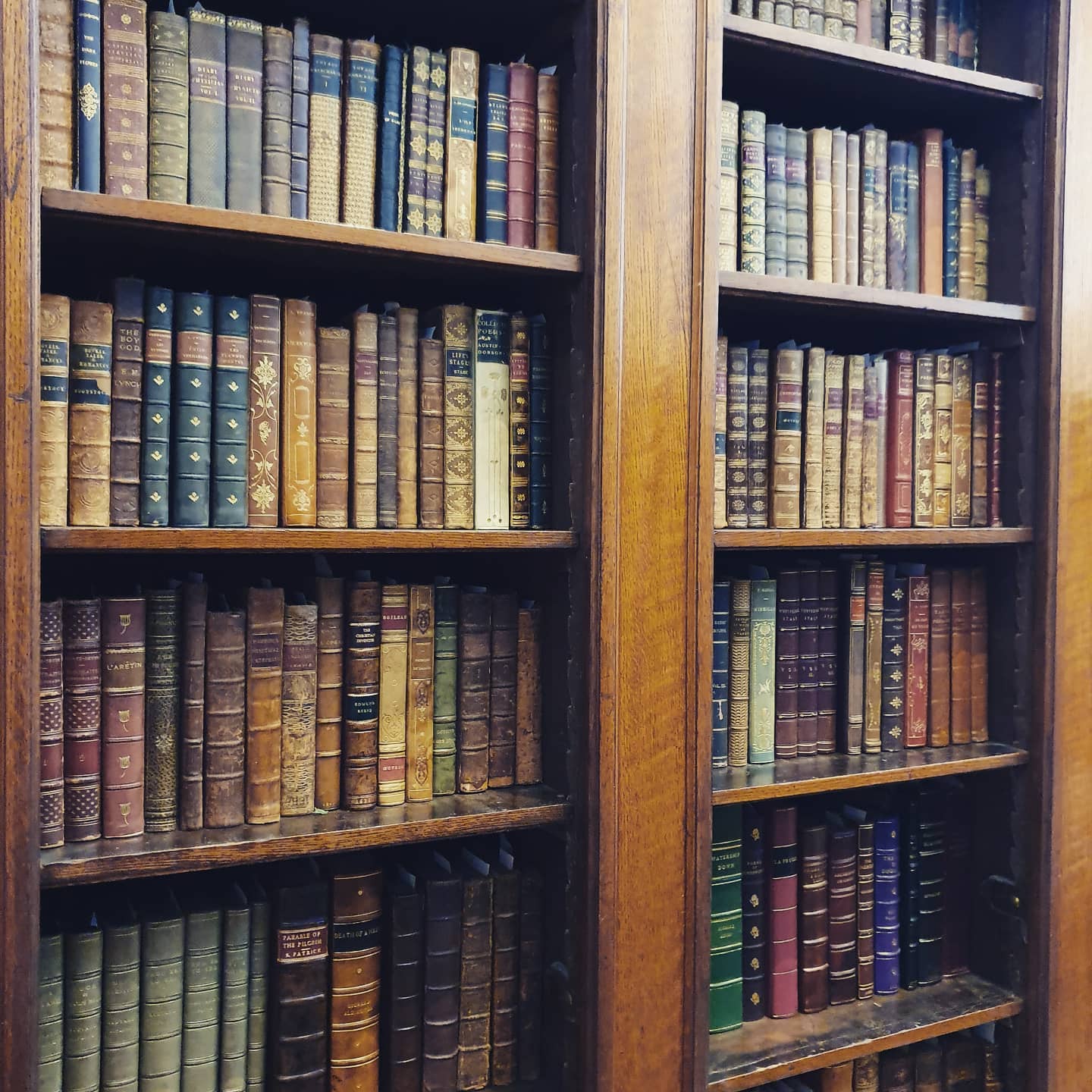 Fine binding Friday! 🤗 📖 #finebindingfriday