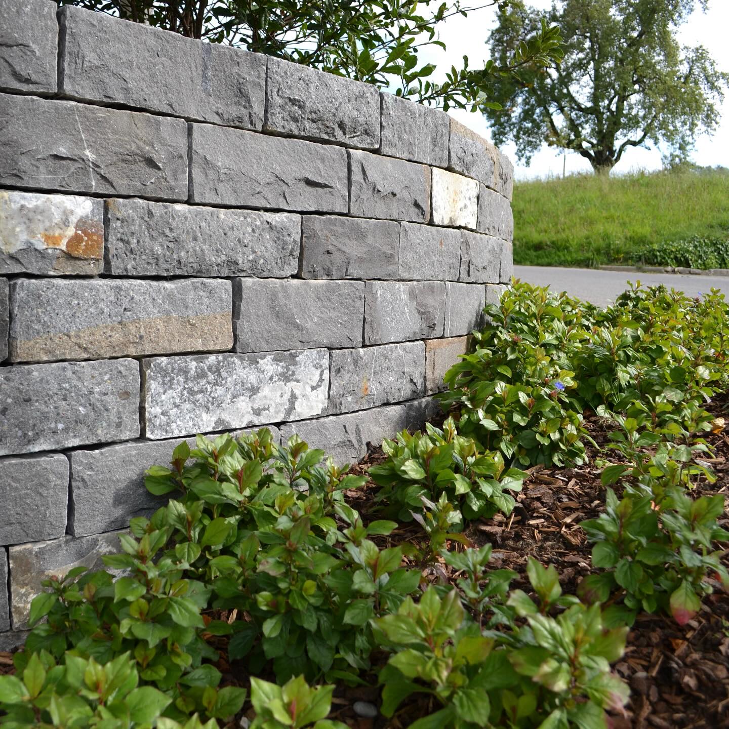 Robust. Zeitlos. Natürlich.
Diese Natursteinmauer verbindet Funktion und Ästhetik auf elegante Weise.
Die klar gesetzten Steine schaffen Struktur im Garten und fügen sich dennoch harmonisch in die Umgebung ein.
Mit viel Gefühl fürs Material entsteht ein Element, das nicht nur stabil ist, sondern einen Garten langfristig prägt.
🌿✨
#tollegärten #naturstein #steinmauer #gartengestaltung #aussenraumgestaltung #handwerk #gartenideen #naturpur