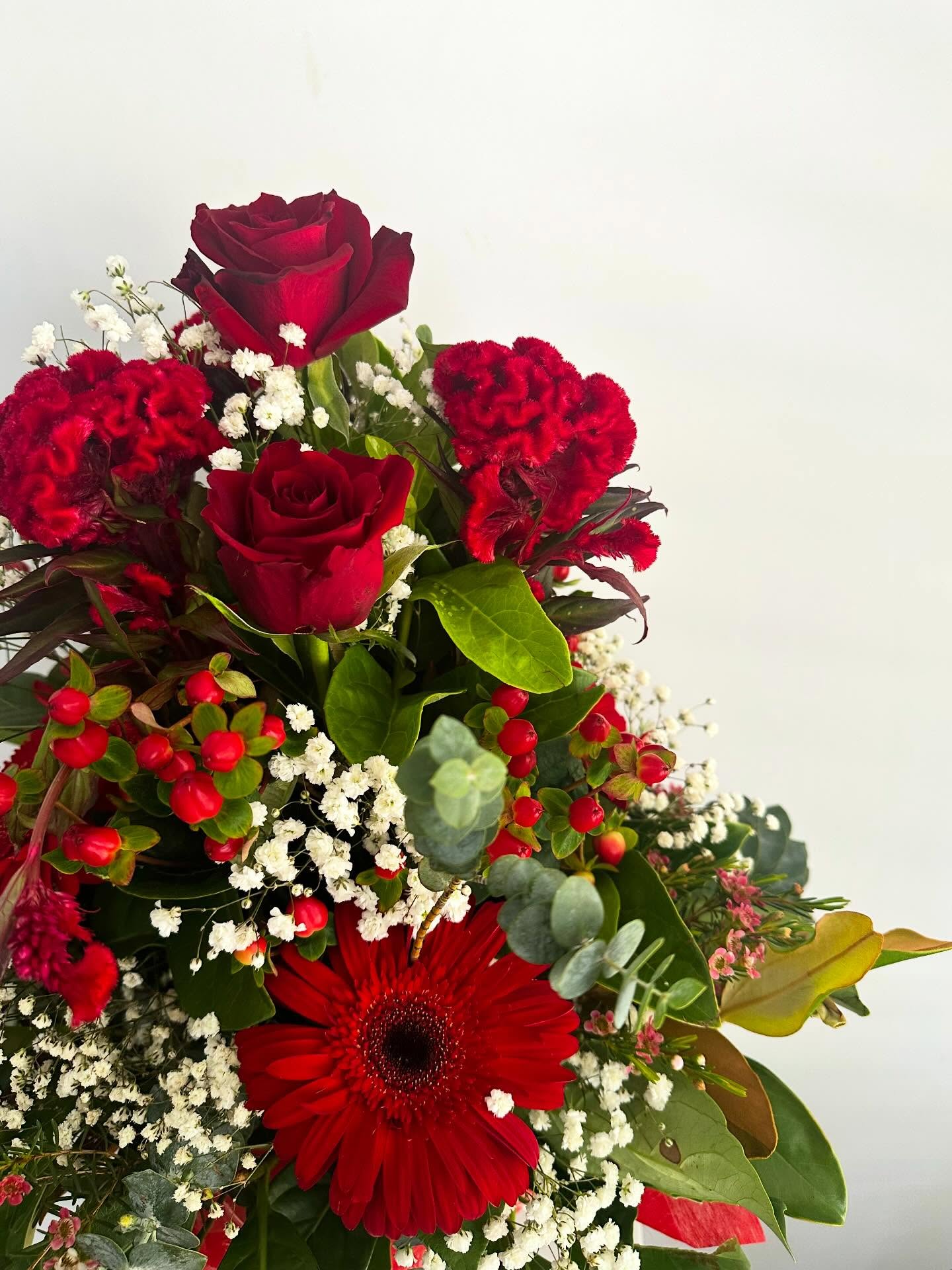 A little red❤️, a little white 🤍
#floralvibes
#redandwhite
#petalperfect
#natureaesthetic
#valentines