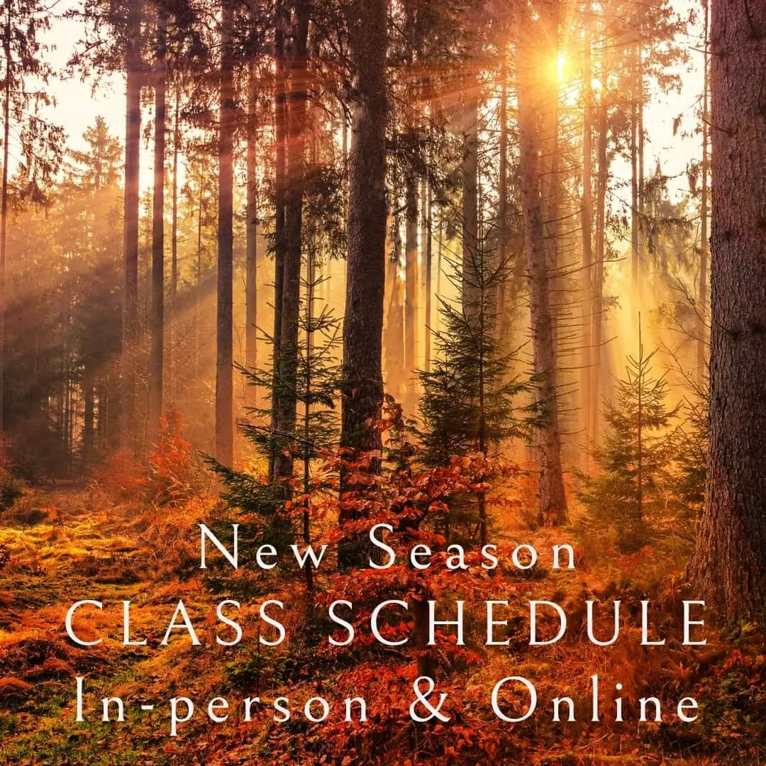 What is it you need from your yoga practice?
Looking to improve posture, core and balance? Try Tuesdays class at 10h, Balance & Alignment Flow.
On Thursday you can join me online for a simple calming and opening flow at 10h France time, 6pm Sydney and 9am UK.
Or in person Thursday afternoon 16h, we are guided by our intuition for a flow we choose on the day to suit our needs.
Do you prefer to work hard, build stamina and strength?
Choose Power Yoga Friday 9h30.
Do you look for softness, grounding and a quiet connection within? Pure Yin with Yoga Nidra is for you. Friday 10h30
Or Sunday 9h we have Mellow Flow. A gentle fluid movement with the breath.
Website link in bio 🙏✨🧡
