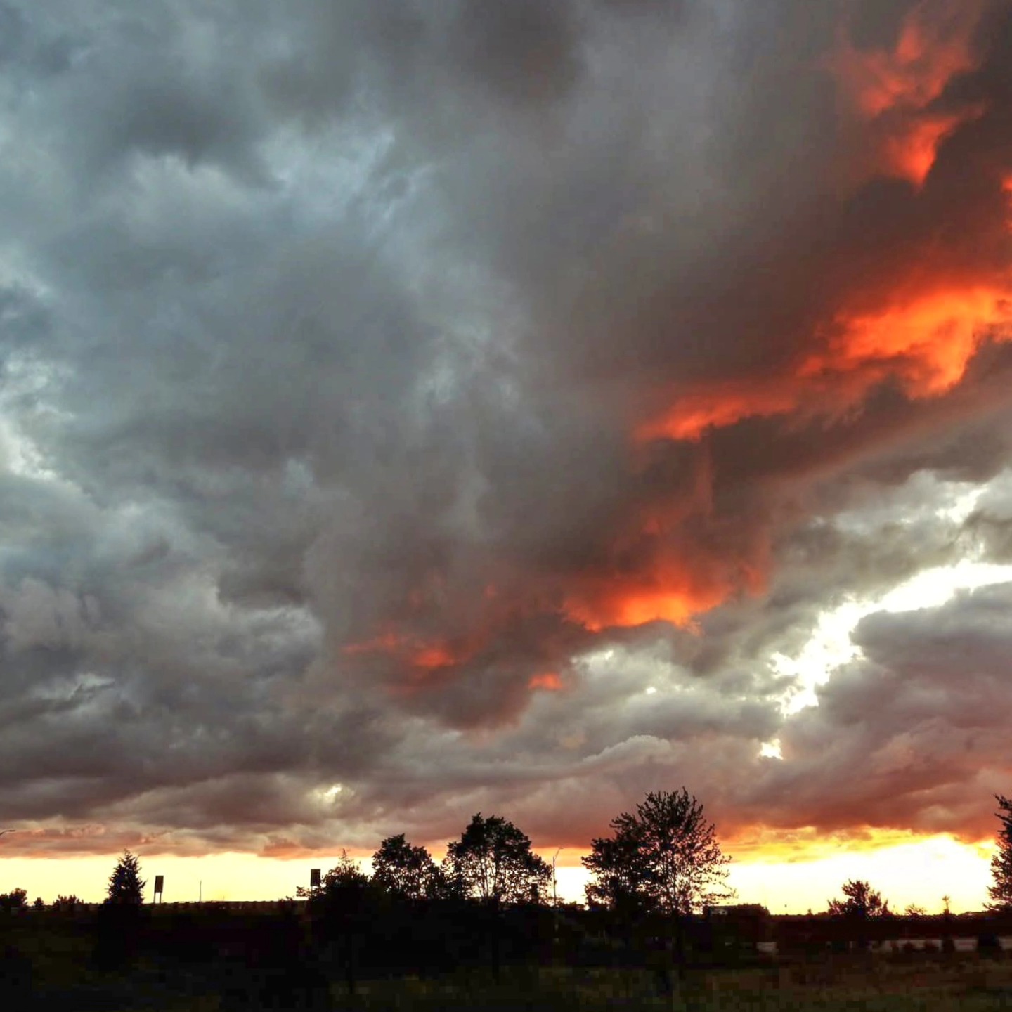 Fire in the sky! Sunset. Saginaw County.
#kathy_woods_booth_photography #puremichiganders #puremichigan #cloudscape #sunsetlover #michigansky #amazingview #yes_global #yes_busa #countryside #silhouette