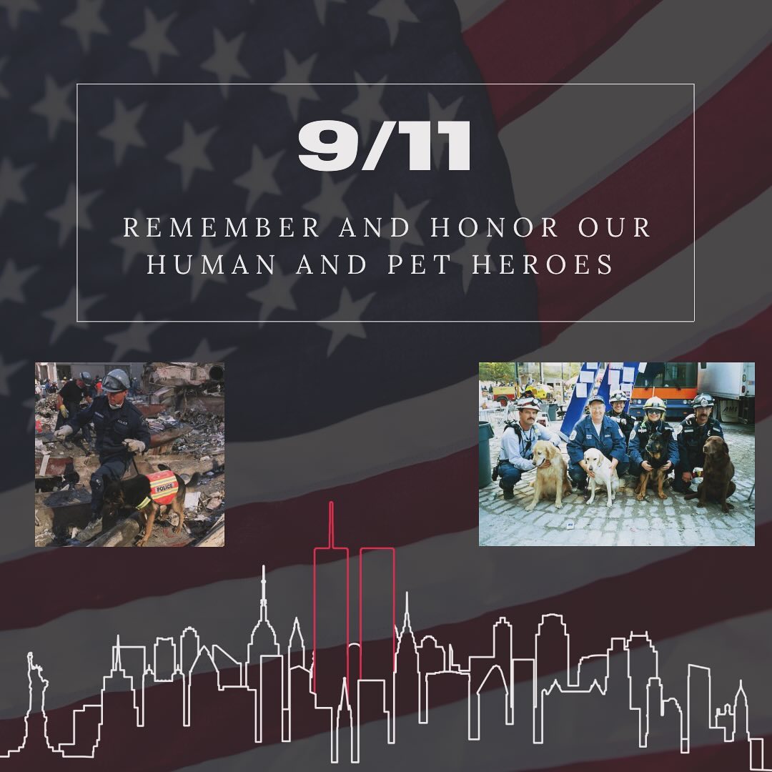 Honoring the heroes of 9/11, our animal ambulance stands ready to serve and protect our four-legged friends with the same unwavering dedication. 🐾🇺🇸