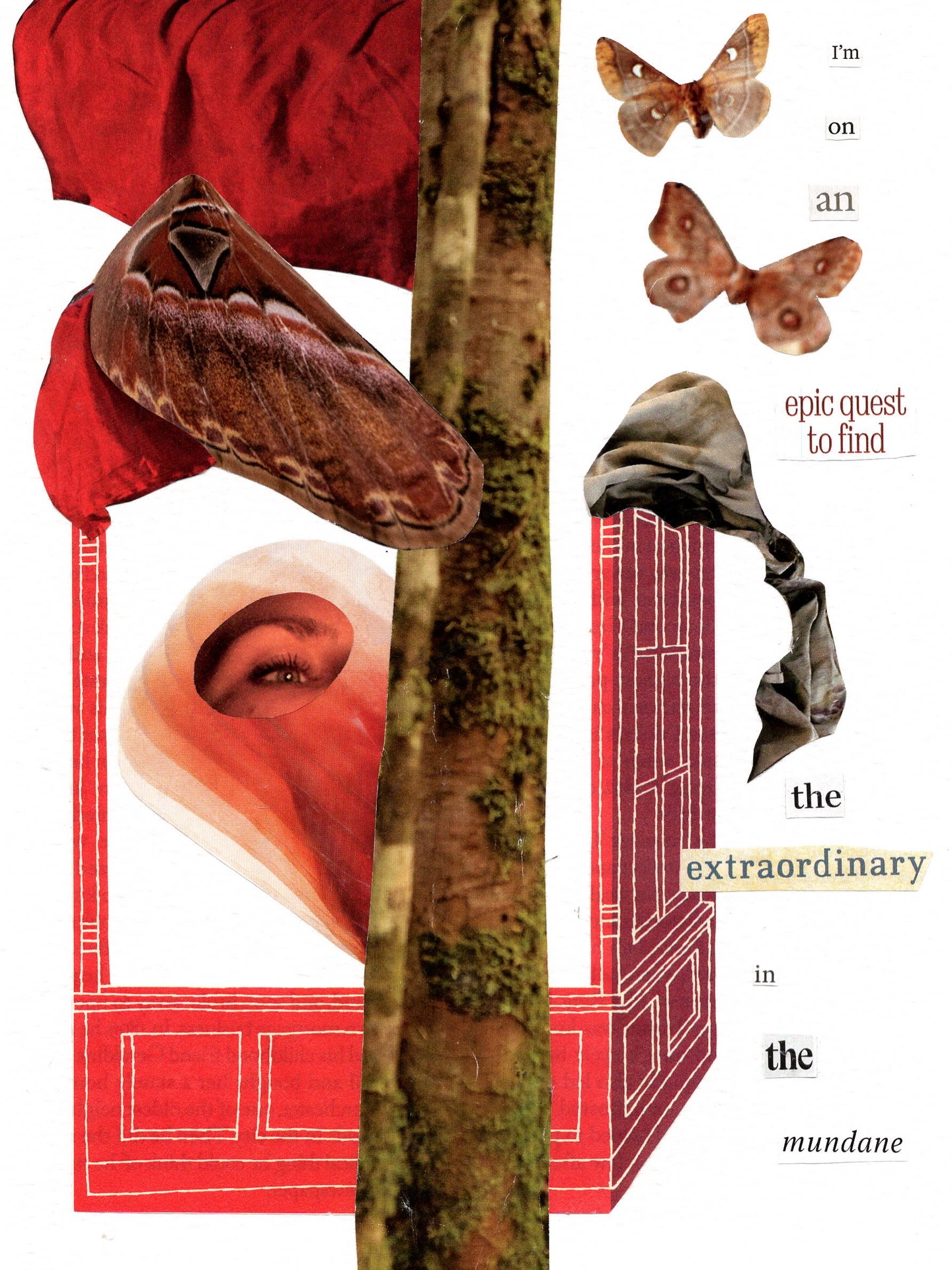 I’m on an epic quest to find the extraordinary in the mundane.
✎ collage on paper
#collage #collageart #collagecommunity #collagecabinet #artbymichèlejubilee