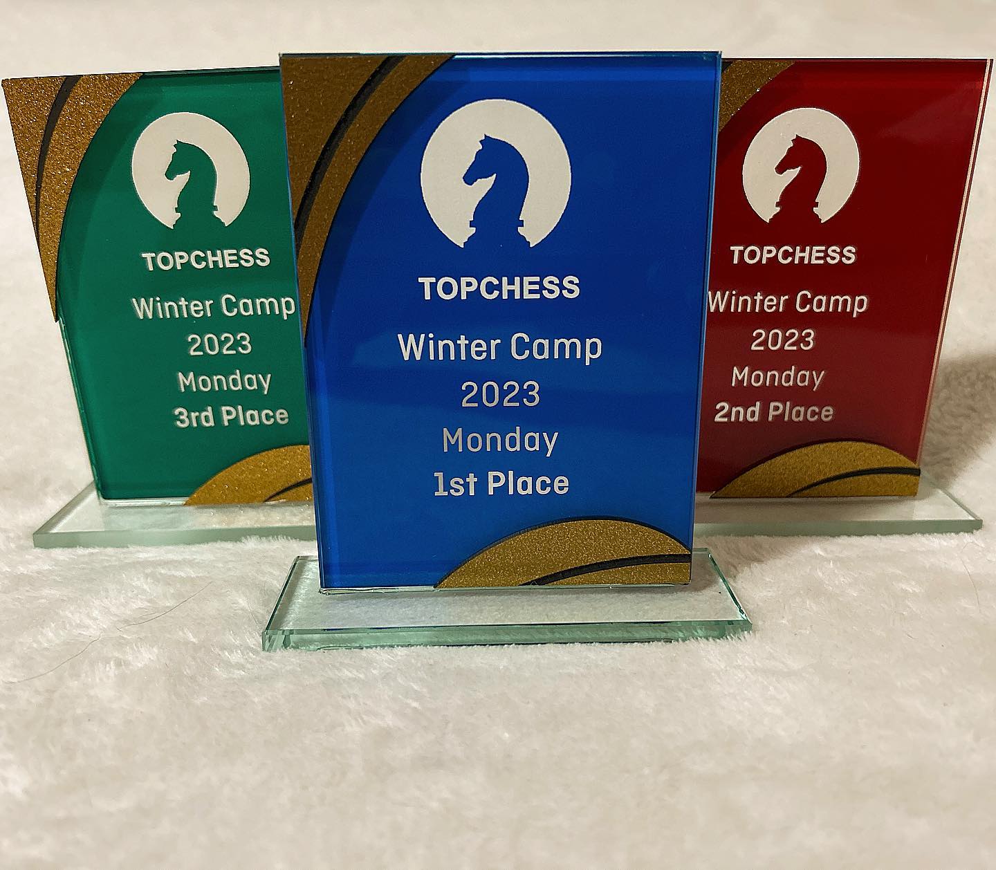 Winter Chess Camp starts next week June 26 β 9am-3pm! Register now: www.topchess.com.au/events βοΈπβοΈπ§ ππ₯