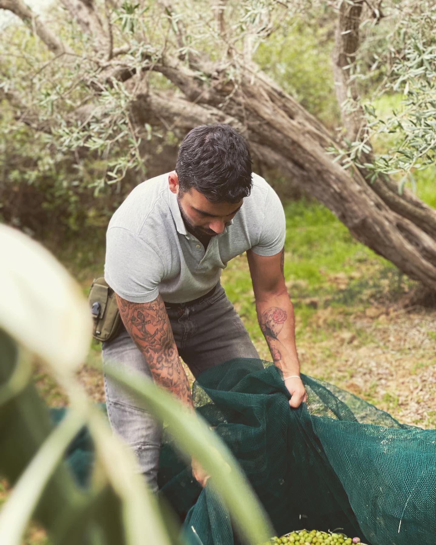 Echtes natürliches Olivenöl
www.olivenoelaranzulla.de
#olivenöl #nativesolivenölextra #bioprodukt#italienischesolivenöl #olivenölmitbrot #inolivenöldippen #nachhaltig #frühstückmitolivenöl #olivenölextravergine #bioolivenöl#naturprodukt#natürlich#gesund#filippoaranzulla#plantage#oekologisch#olivenölaranzulla