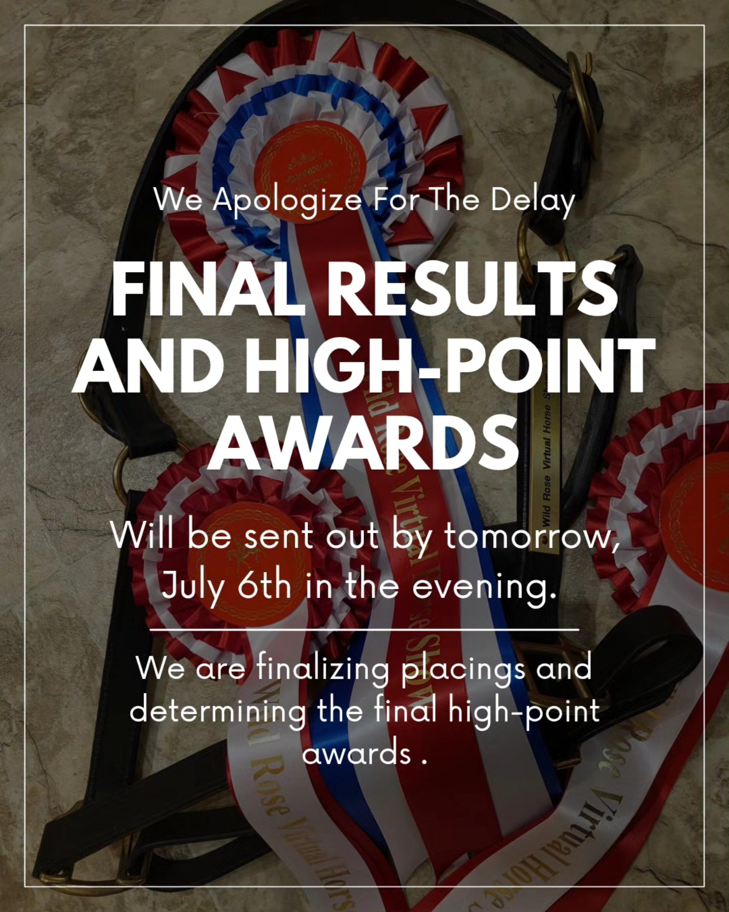 π£ Update from Wild Rose Virtual Horse Show π΄
We sincerely apologize for the delay in results β thank you all so much for your patience! π
We are still finalizing high-point calculations and award placements to ensure accuracy and fairness.
π Final results and placings will be sent out by tomorrow evening, July 6th.
Weβre excited to share the outcomes and celebrate your hard work!
Stay tuned and thank you again for being part of our show! π
#wildrosevirtualhorseshow #horseshow #horseshowseason #virtualshowing #VirtualHorseShow