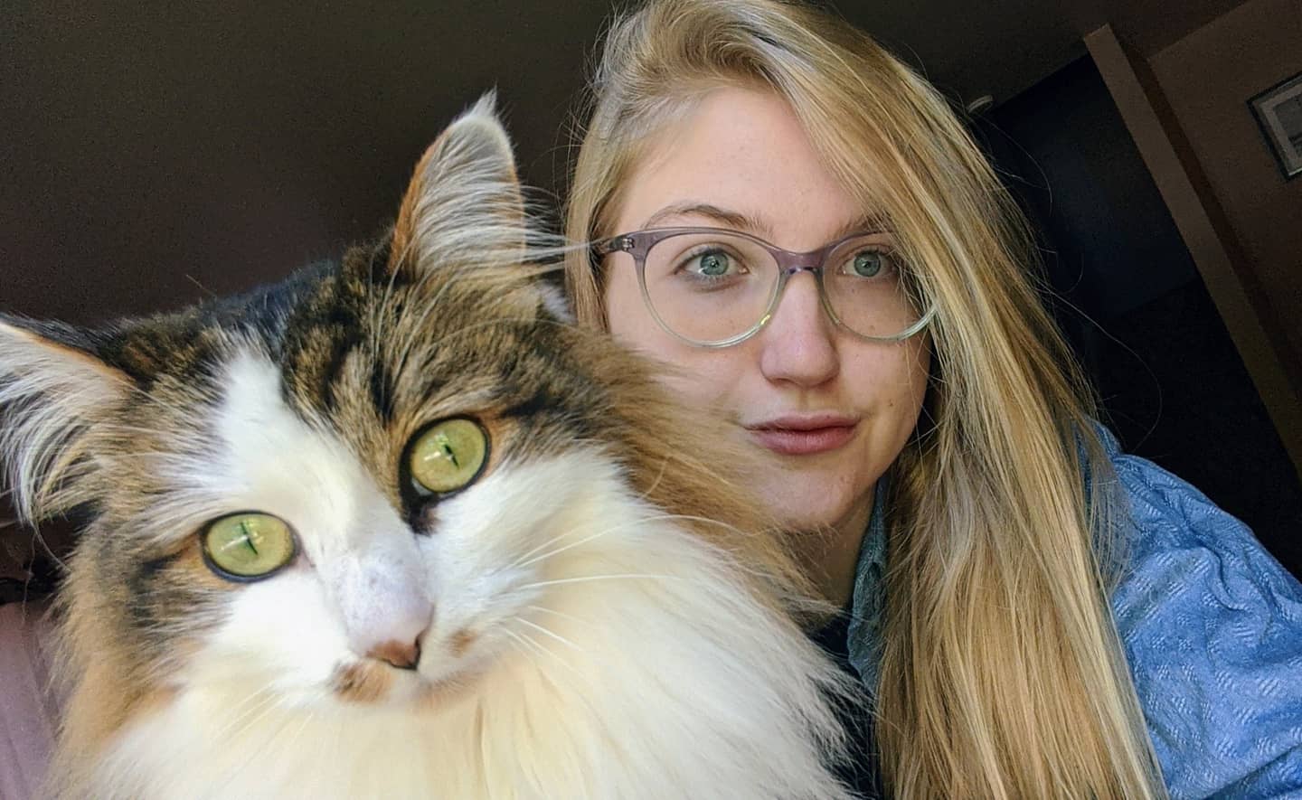 Friendly reminder I have a cat named Hector and I love him