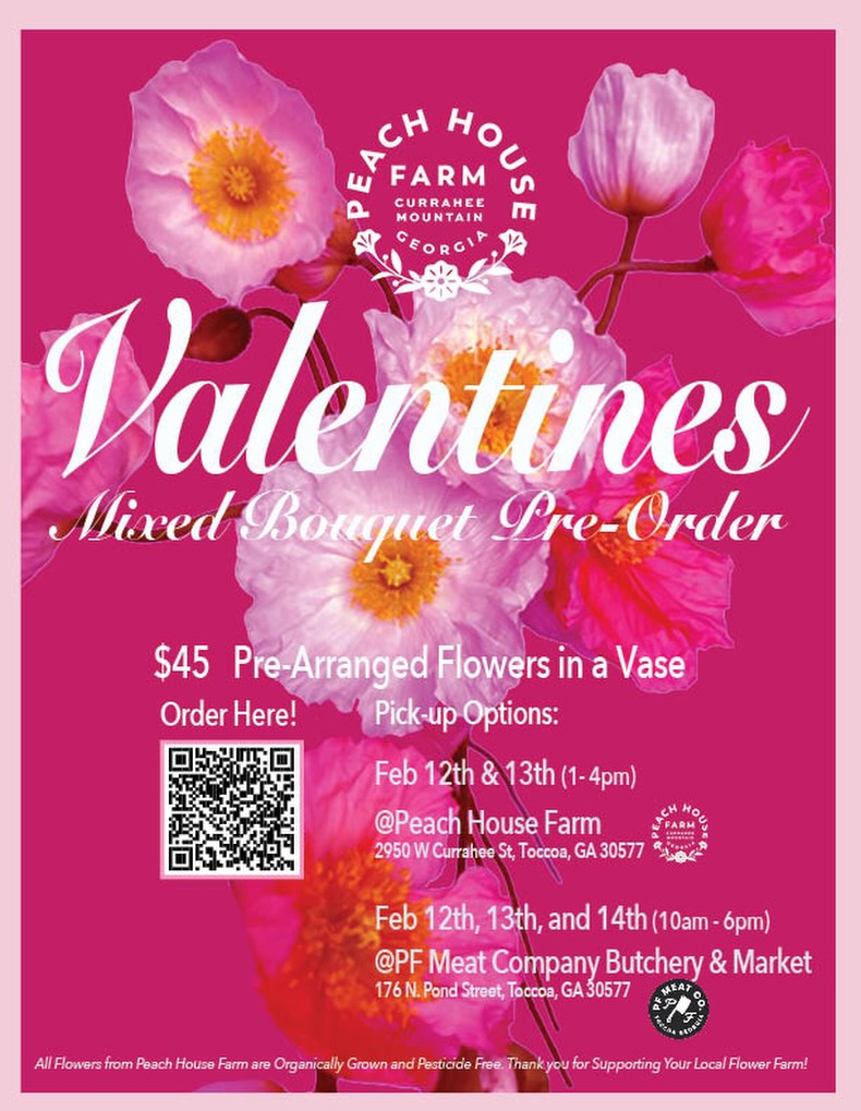 ✨ Update✨ We are sold out! Thanks to everyone for your support! 💖
We hope everyone weathered the storm this past weekend and are grateful that the farm got through unscathed! ❄️ We’re here to announce that we have a limited number of Valentine’s Day arrangements available this year. 🌷 We’re super excited to offer tulips, poppies, anemones, hellebores and more in a cute valentines color scheme with flowers grown organically here on the farm.💘
Local pickup will be available on-farm and at our friends @pfmeatco.markets Toccoa location. Get in touch to pre-order yours today! Email us at Orders@peachhousefarm.com or head to the link in our bio. ⬆️
#locallygrown #freshflowers #organicallygrown #valentinesday