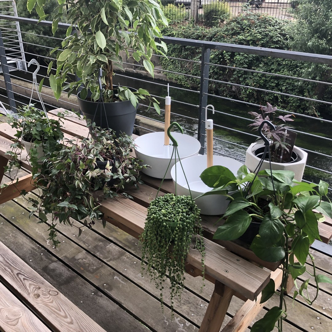 Making the most of our riverside location. #greenoffice #wellbeing #urbangardening #naturalventilation