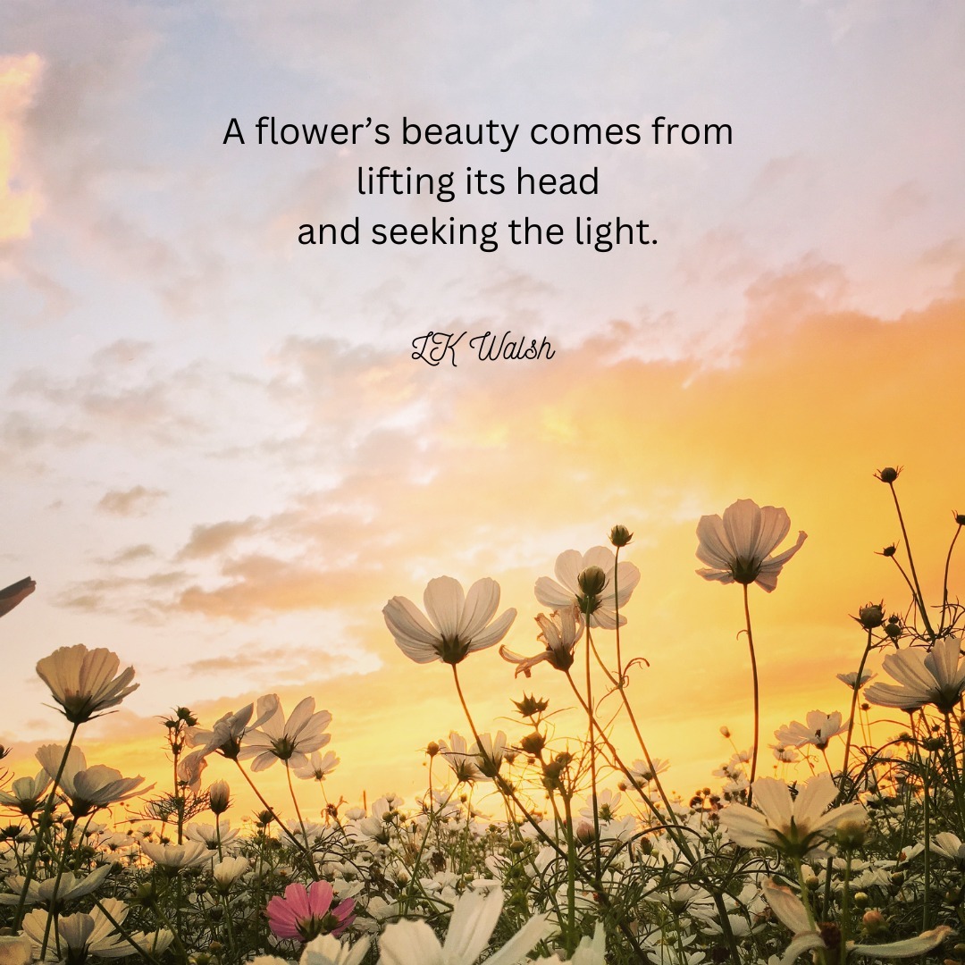 The light is not always easy to feel. Those are the times you need to seek it out the most.
#light #seek #happiness #sunshine