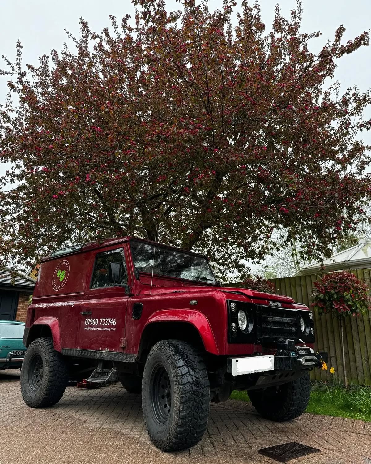 Loving the new letters on the Landy!
#treesurgeonchester #treesurgeon #landrover #defender #td5 #33s #arborist #cheshirebusiness #cheshire #chester