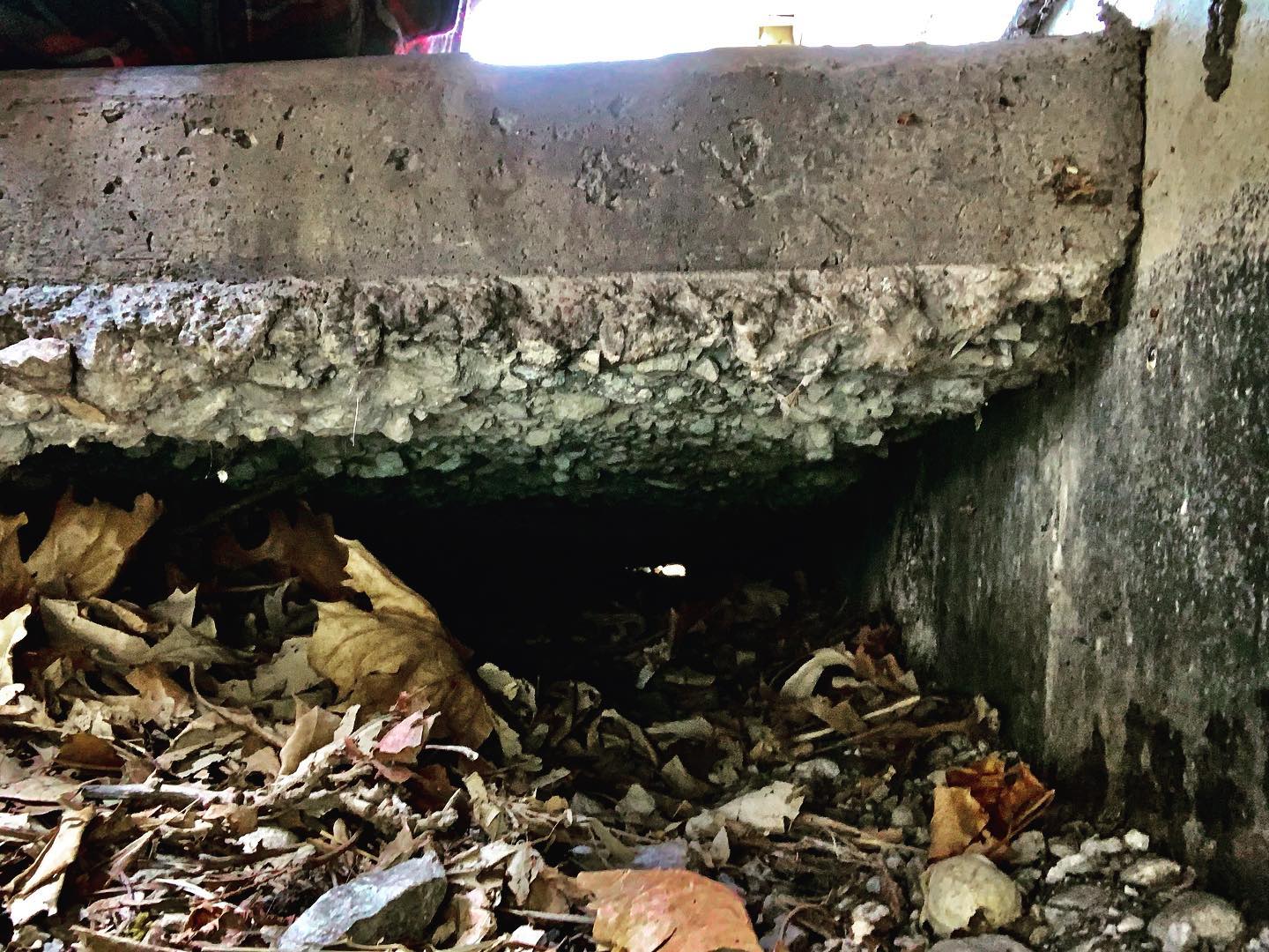 Void filling a patio. This patio is being held up by rebar. Once the rebar rusts the concrete will drop and possibly break. Call/text 708-334-3341 so we can save your concrete! #voidfilling #concreteleveling #polyjacking #plainfieldillinois #landscaping #concreteraising #pestcontrol