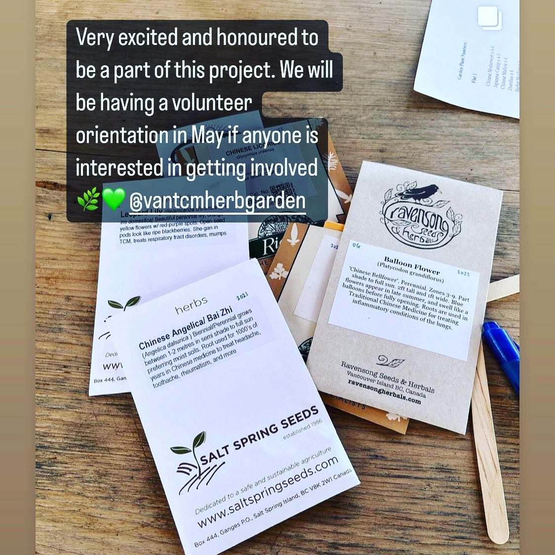 Are you interested in learning about the cultivation and uses of East Asian medicinals? The TCM Herb Learning Garden 🪴 will be holding a volunteer orientation in May for those that would like to get involved. Reach out if you are interested #tcmlearninggarden #eastasianmedicine #herbgarden