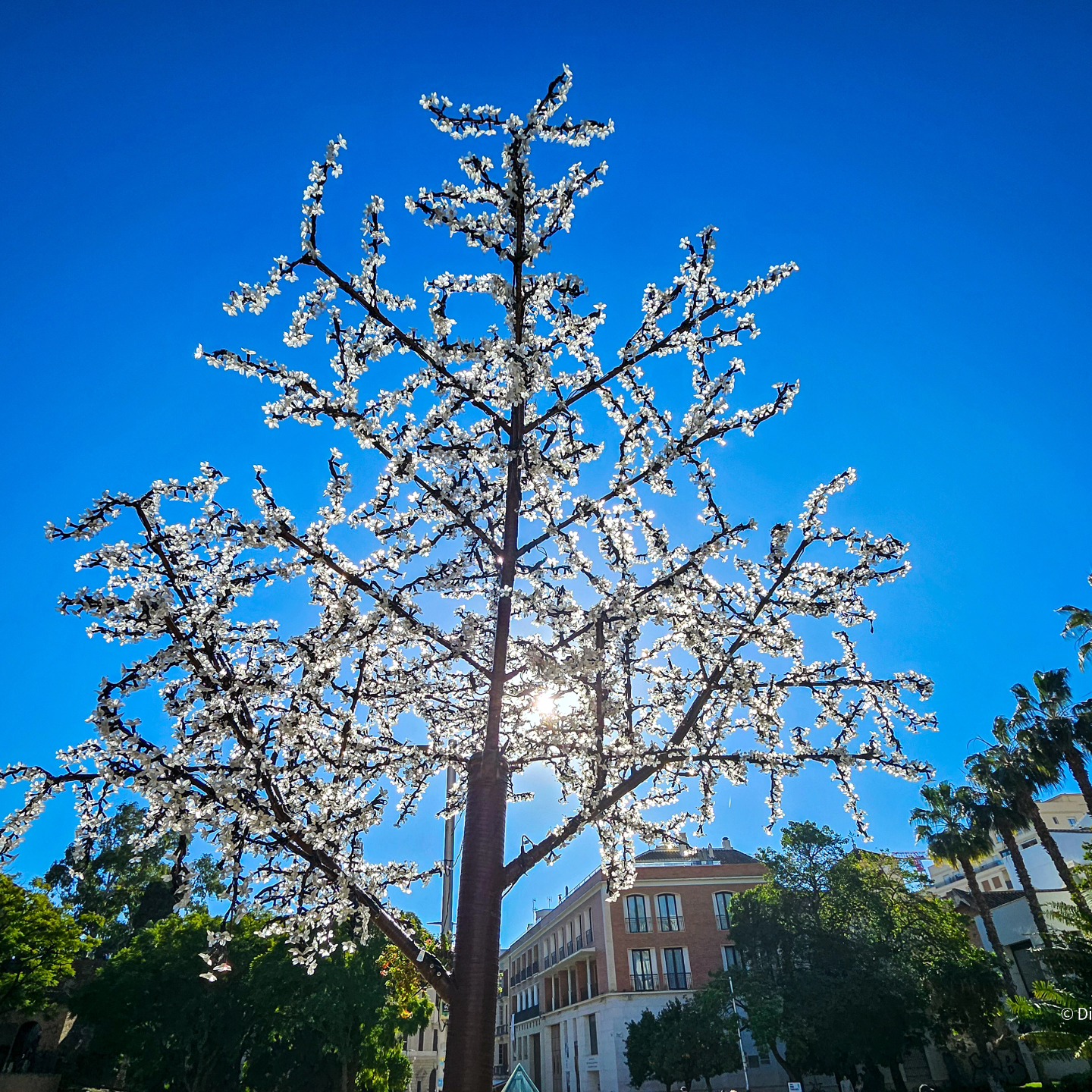 Sunny winters are the best โ๏ธโ๏ธ
#mobilephotography #spain #winter #sun #blueskies #nature #urban #city #Europe #travel