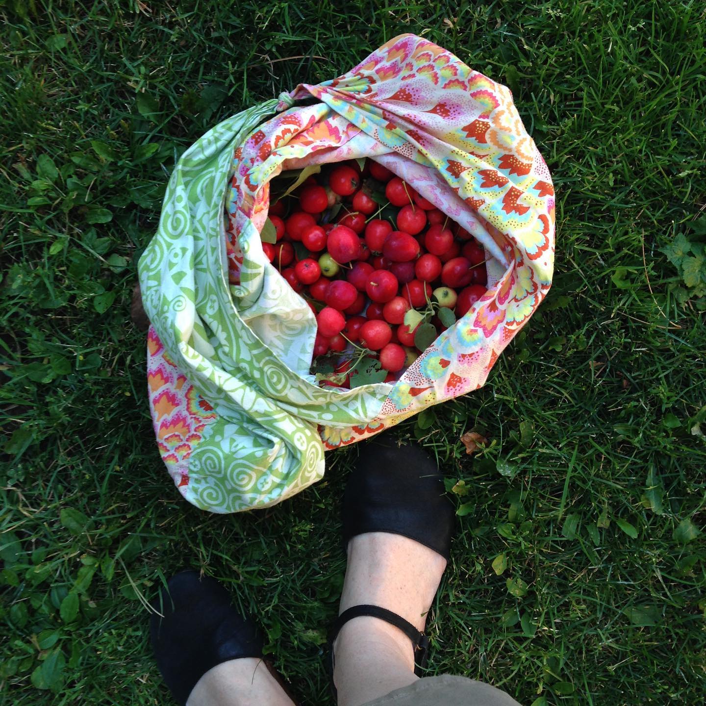Gleaning #crabapples for jelly. #thecityismygarden