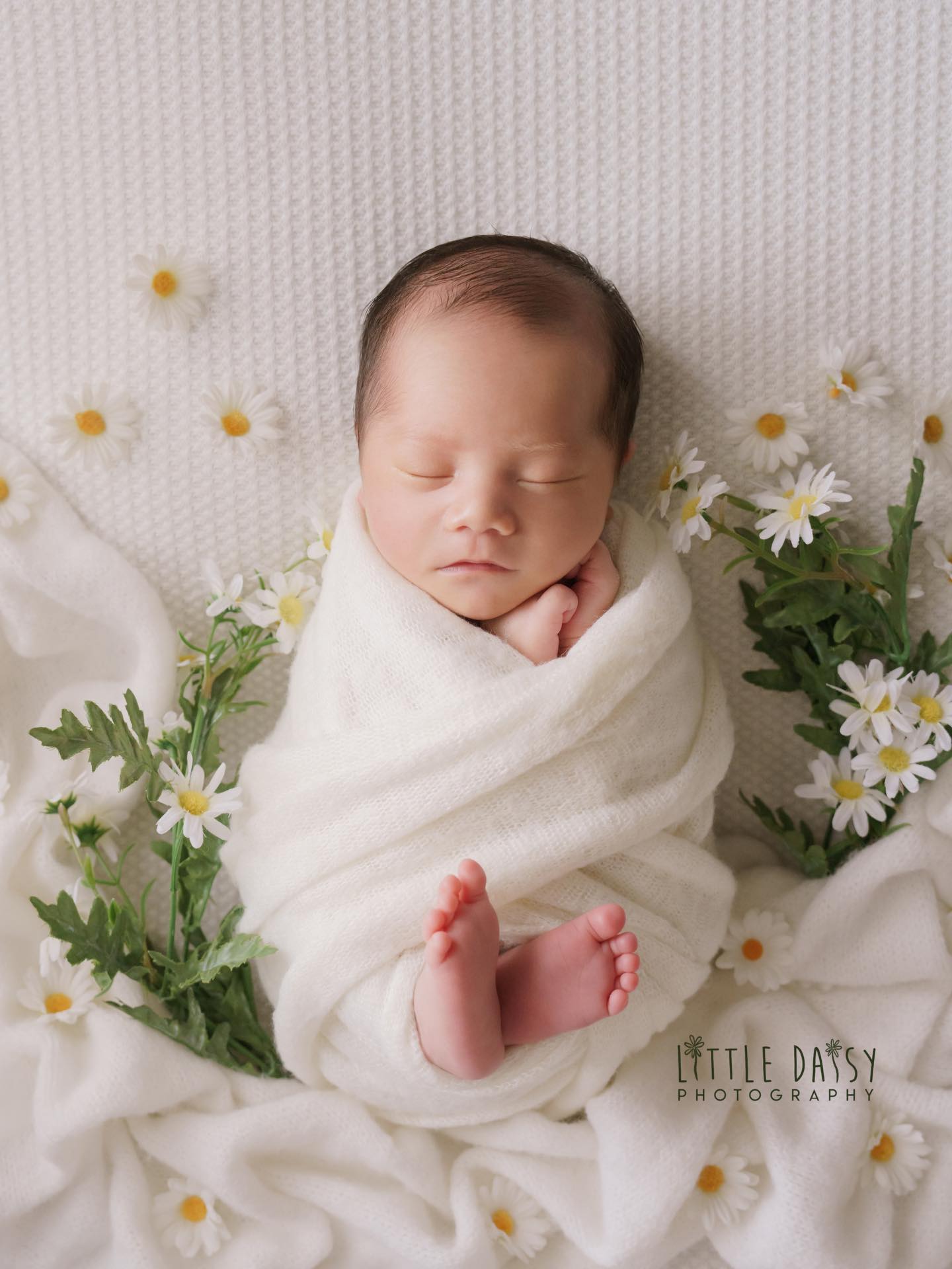 Little bloom among the blooms 🤍
#sglittledaisyphotography #sgnewborn #sgnewbornphotographer #sgnewbornphotography #babies newborn newbornsingapore sgmums sgmummyblogger sgbaby sgbabies singaporebabyphotographer babyphotographysingapore singaporenewbornphotograper
singaporenewbornphotography