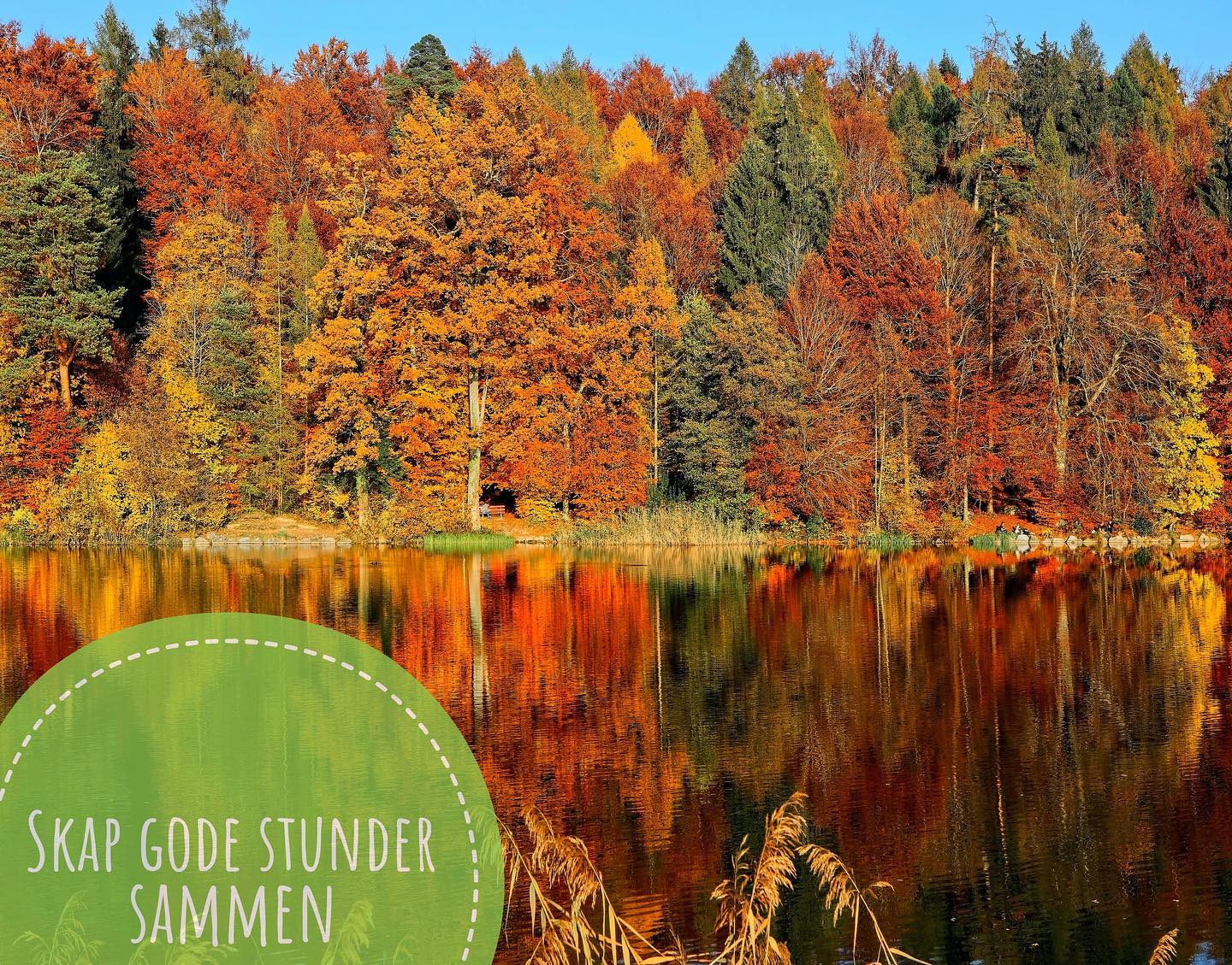 Skap gode stunder sammen | Create good times together 🍁❄️🌿#stange #norway #love #joy #naturephotography #health #life