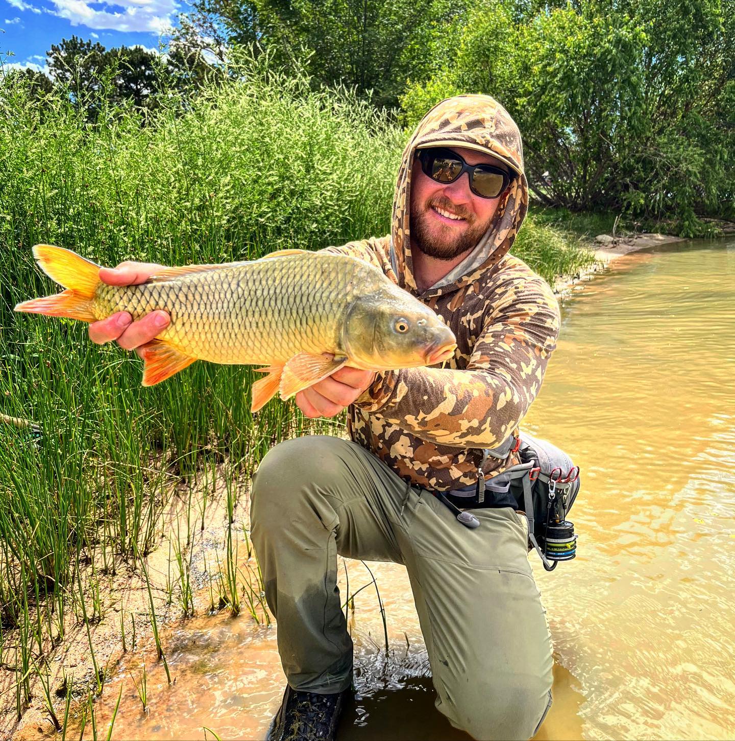 The heat of summer calls for chasing after some warm water species as the temps rise in the rivers in the afternoon.
•
#flyfish #summer #warmwater #carp #carponthefly #keepitreel #tugisthedrug #carpfishing #flyfishing #colorado #flyfishcolorado #getoutside