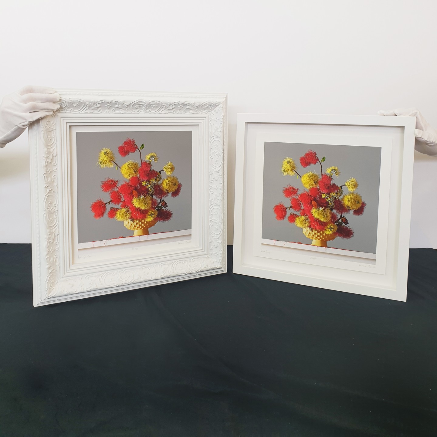 An @emma__bass framed two ways.
We love how these identical artworks are framed with their own unique spin based on each client's tastes. Which would you pick?
.
👏👏Big respect to Emma for releasing her "Antifragile" Limited edition print to raise funds for the @nzredcross disaster fund with proceeds going to the cyclone relief effort. Sold out in under 48hrs and $11k raised, what a legend!
.
Fine art printing by our friends @skar_image_lab ❤️
.
#emmabass #nzcyclonerelief #skarimagelab #framedtwoways #customframing #customframingauckland #ornatepictureframe #contemporaryart #photography #nzredcross #antifragile #photographynz #stilllifephotography