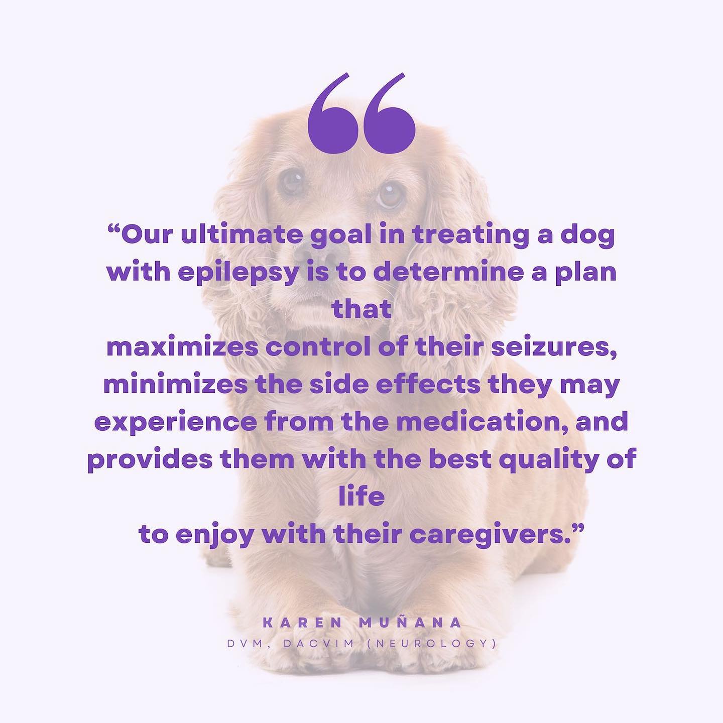 How do you define āsuccessā when it comes to the management of a
dog with epilepsy?
āOur ultimate goal in treating a dog with epilepsy is to determine a plan that maximizes control of their seizures, minimizes the side effects they may experience from the medication, and provides them the best quality of life to enjoy with their caregivers.ā ā Karen MuƱana, DVM, DACVIM (Neurology)
Register for VetVine's Canine Epilepsy Summit š https://bit.ly/PurpleDay23 and save with code MBPurple23. Veterinarians and veterinary technicians save $23. Non-veterinarians save $10. Valid through 3/31. #PurpleDay