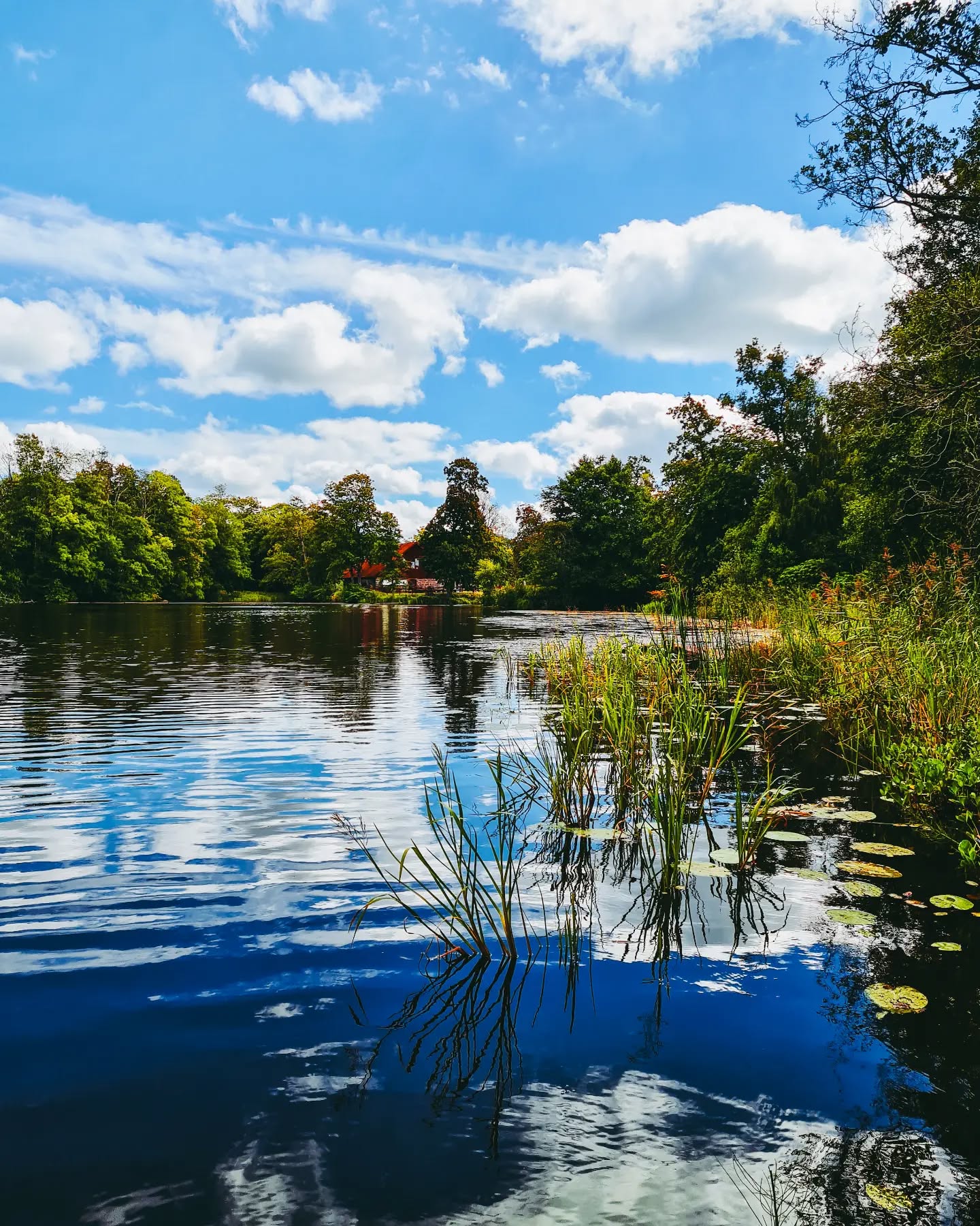 A beautiful day exploring this small piece of history. Seeing an old iron ore mill and manor it sits on.
Also noted the trees are starting to change color
.
.
#husebybruk #visitsmåland #exploringsweden #darlingdays #beautyintheveryday #quietinthewild #slowandsimpledays #quietmoments #placidlake #visitsmaland #visitsweden #aseasonalshift #simpleandstill #alliseeispretty