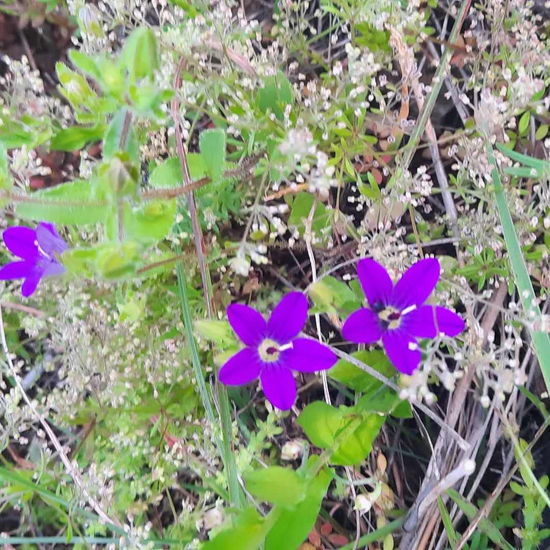 בואו ניקח אתגר.
נתחיל בשבוע.
יודעים מה, יום אחד אפילו.
בו לא נבקר, ולא נשפוט, לא אחרים ילא את עצמנו.
נחזיק חזק חזק את המילה "לקבל", נחפש את הטוב.
כן, גם את הבנזוג.
כן, גם את המציאות.
כן, גם את הממשלה.
נאפשר לעצמנו לכאוב, אבל בלי לכעוס ולשפוט.
מי מצטרפ.ת?