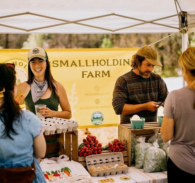 ❄️Winter Growers Podcast episode drop!❄️ My next guests are Ellie Goldstein and Dan Bryant of Small Holding Farm @smallholdingfarm in Morganton, North Carolina.
Recommended by a fan of the podcast as new year-round farmers, Ellie and Dan started their farm in 2020 during the early months of the pandemic. Ellie has a back ground in psychology and still works part time in the mental health field, and Dan is a certified arborist and carpenter, skills that have undoubtedly helped their recent transition starting a farm and homestead with a focus on year-round production and building a connected community.
Farming on 1 acre with three high tunnels, they prioritize building soil using primarily no-till methods and they experiment with finding the best ways that their bodies, the land, and their business can benefit and grow from these choices. We wrap up our conversation with the Lightning Round Questions including, “What do you long for and how does that influence how you farm?”
Listen to our conversation wherever you get your podcasts (link in bio). As always, a big thank you to Farmer Jesse, Farmer Jackson and the crew @notillgrowers, and the show’s sponsors @johnnys_seeds, @rimolgreenhouse and @bcs_america for making this podcast possible.
Tune in each Monday this summer for a new episode. Next week we head to MA to a year-round farm that is considered to be the birthplace of the CSA model in the US.
#wintergrowerspodcast #wintergrowers #notillmarketgardenpodcast #winterfarming #moveablehightunnel #fourseasonfarming