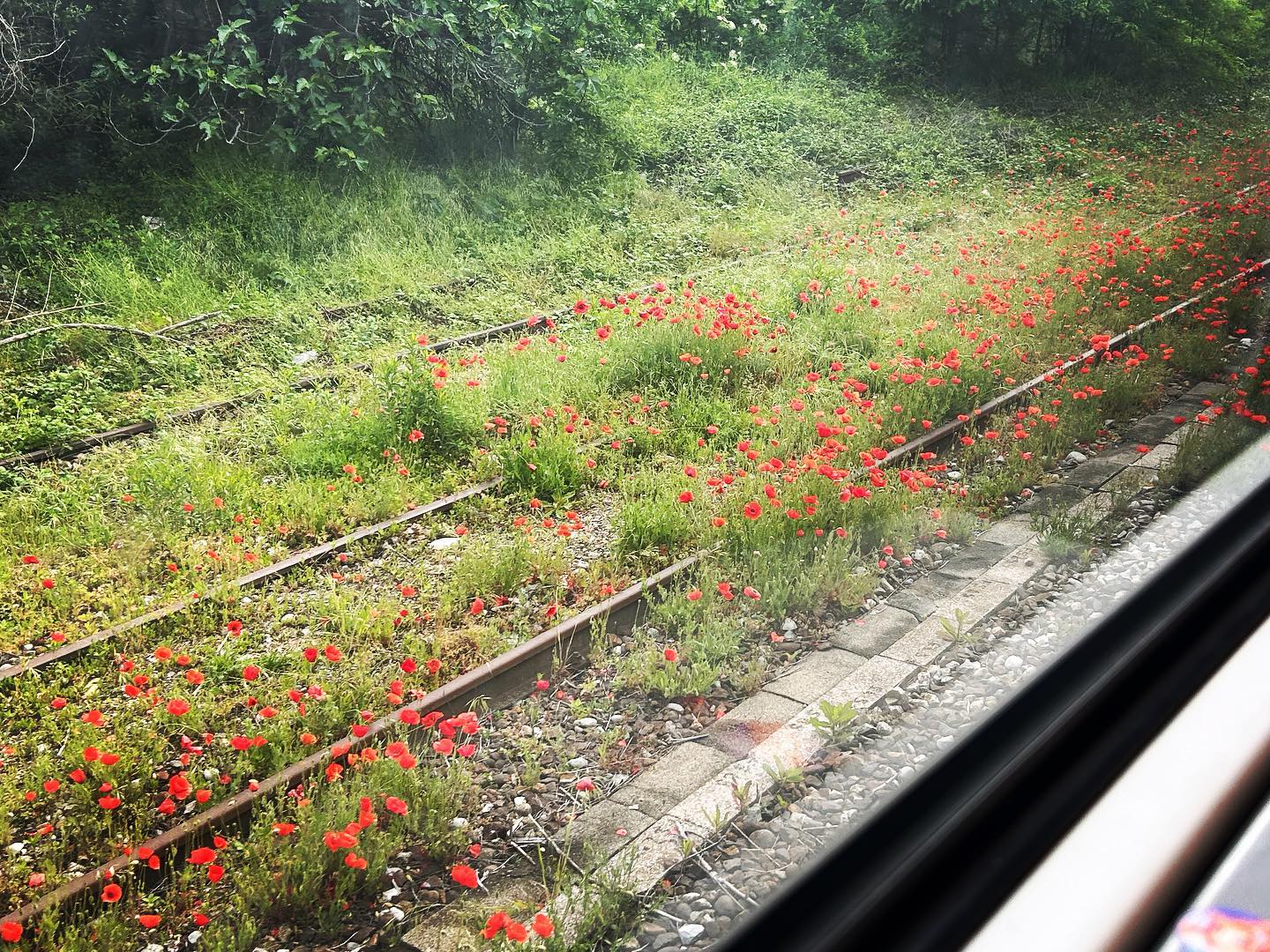 From the train.