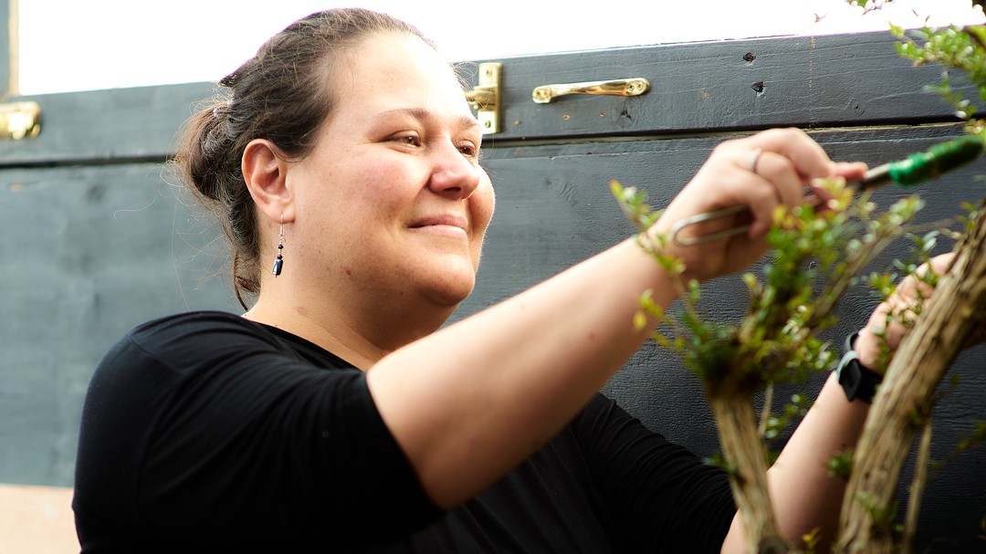 Love my new bonsai :)