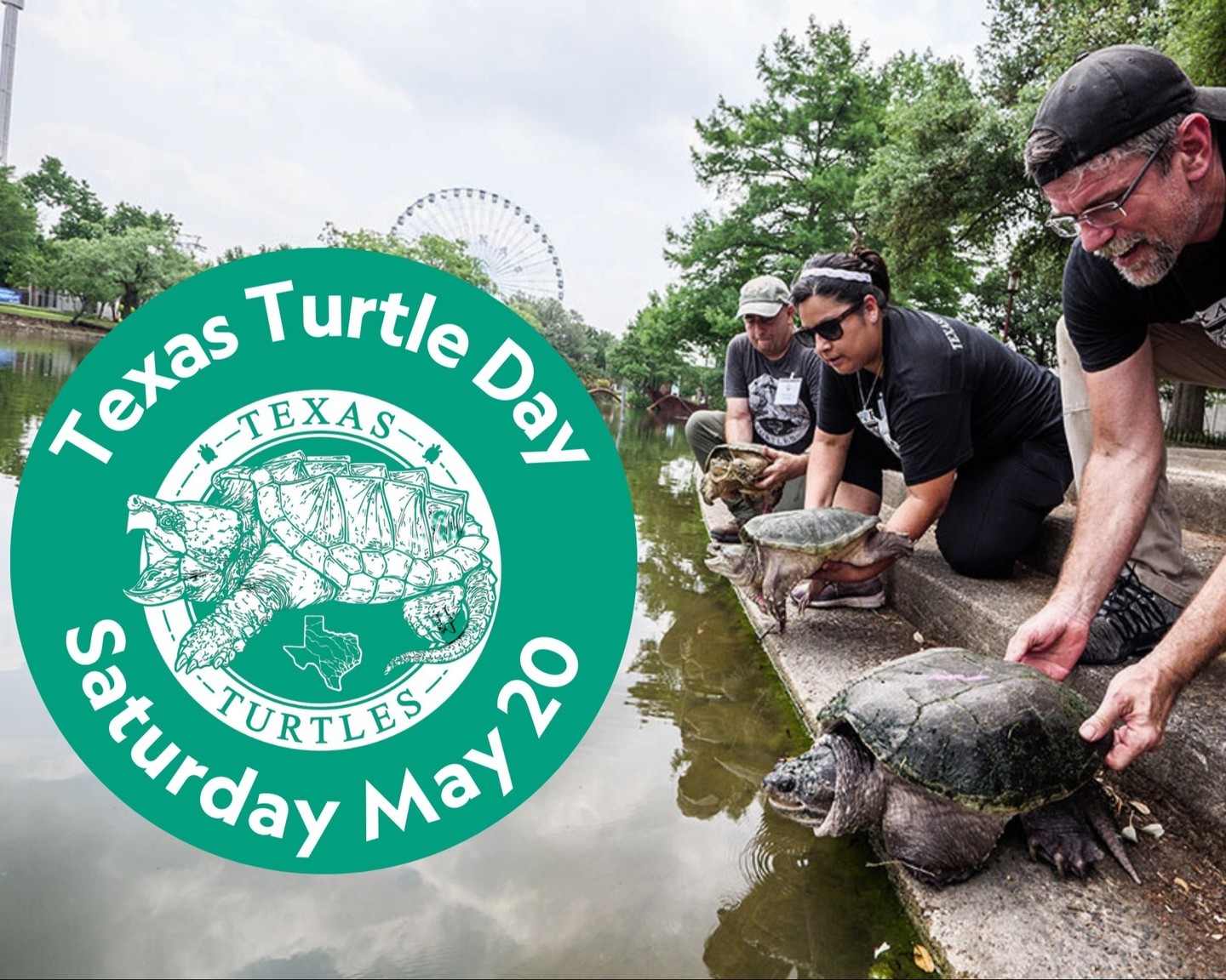 Slow and steady wins the race at Texas Turtle Day at Fair Park's Lagoon Leonhardt! 🐢 May 20 starting at 10 am!
Join us for a day of fun and learning about these amazing creatures, with interactive exhibits, live shows, and educational activities for all ages 🌟 Get up close and personal with various species of turtles and tortoises, and learn about their habitats, behaviors, and conservation efforts. It's a day full of family-friendly entertainment that you won't want to miss!
#TexasTurtleDay #FairParkDallas
