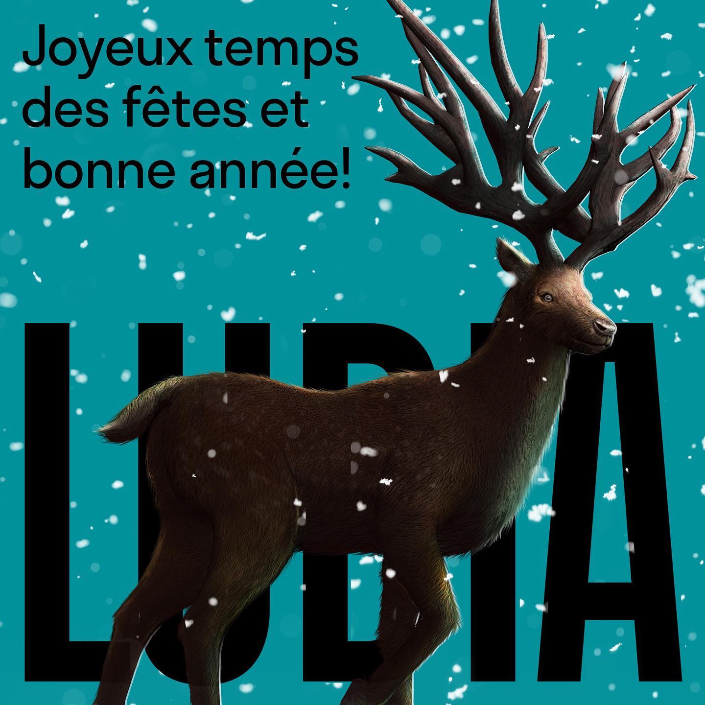 Joyeuses fêtes à tou.te.s !
Après une année chargée, nos Ludien.ne.s vont profiter d