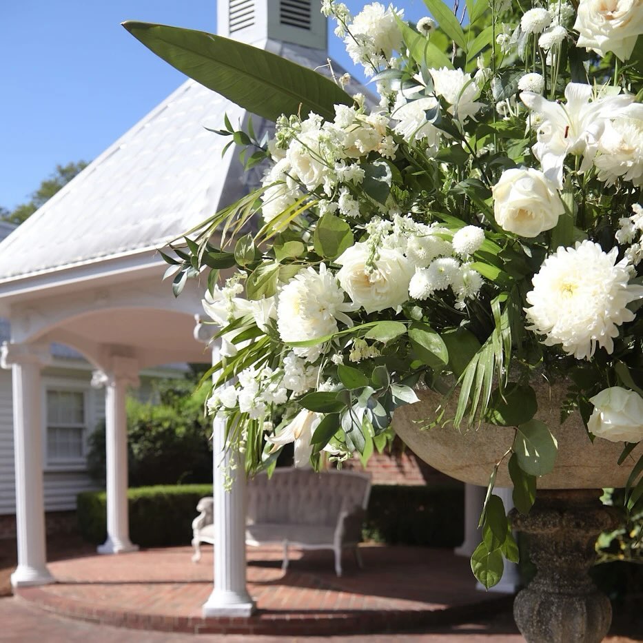 Spring has sprung! We are ready for sunshine and warmth ahead here at Private Property. 🌼
