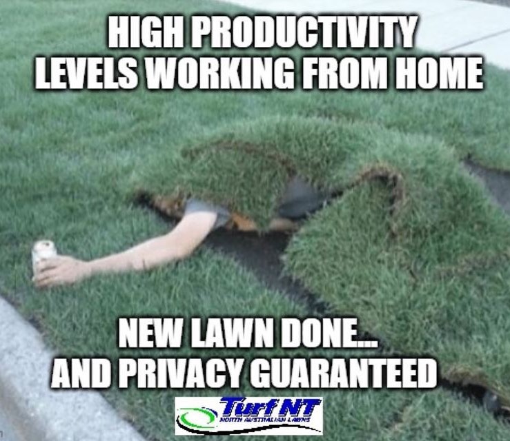 Get in contact 😉
#turfnt #lawn #grass #gardening #landscaping #nt #darwin