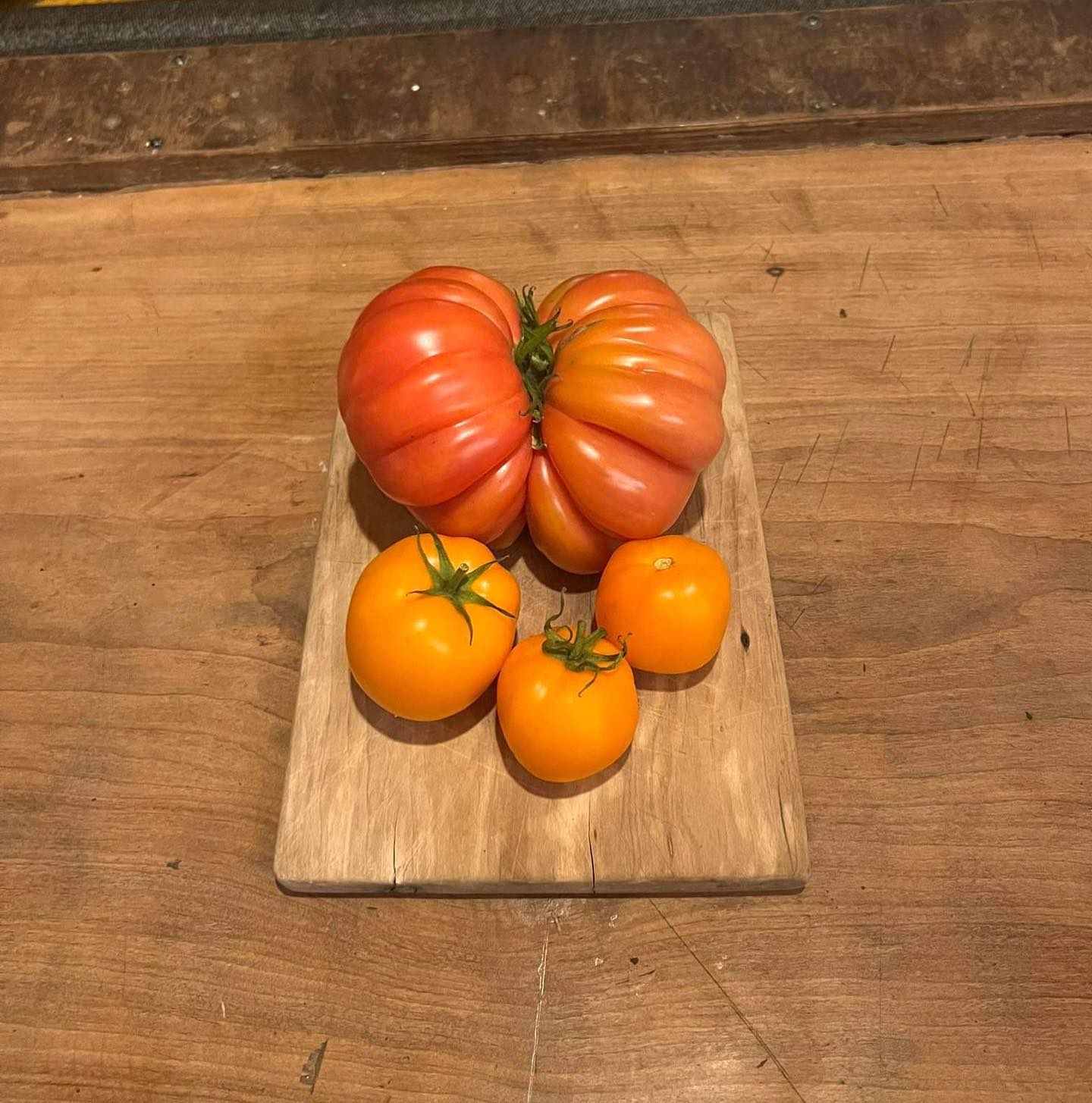 Ya estamos llegando a mayo y los tomates aun entregándonos frutos! Hoy cosechamos este Hermoso ejemplar de 660 gramos junto a otra variedad de muy lindo color!
Agradecemos la abundancia que nos ha entregado esta temporada en todo tipo de frutas y verduras y motivamos a todos a comenzar de a poco a cultivar sus propios alimentos y a apoyar a los productores orgánicos de sus localidades! 🌱💚