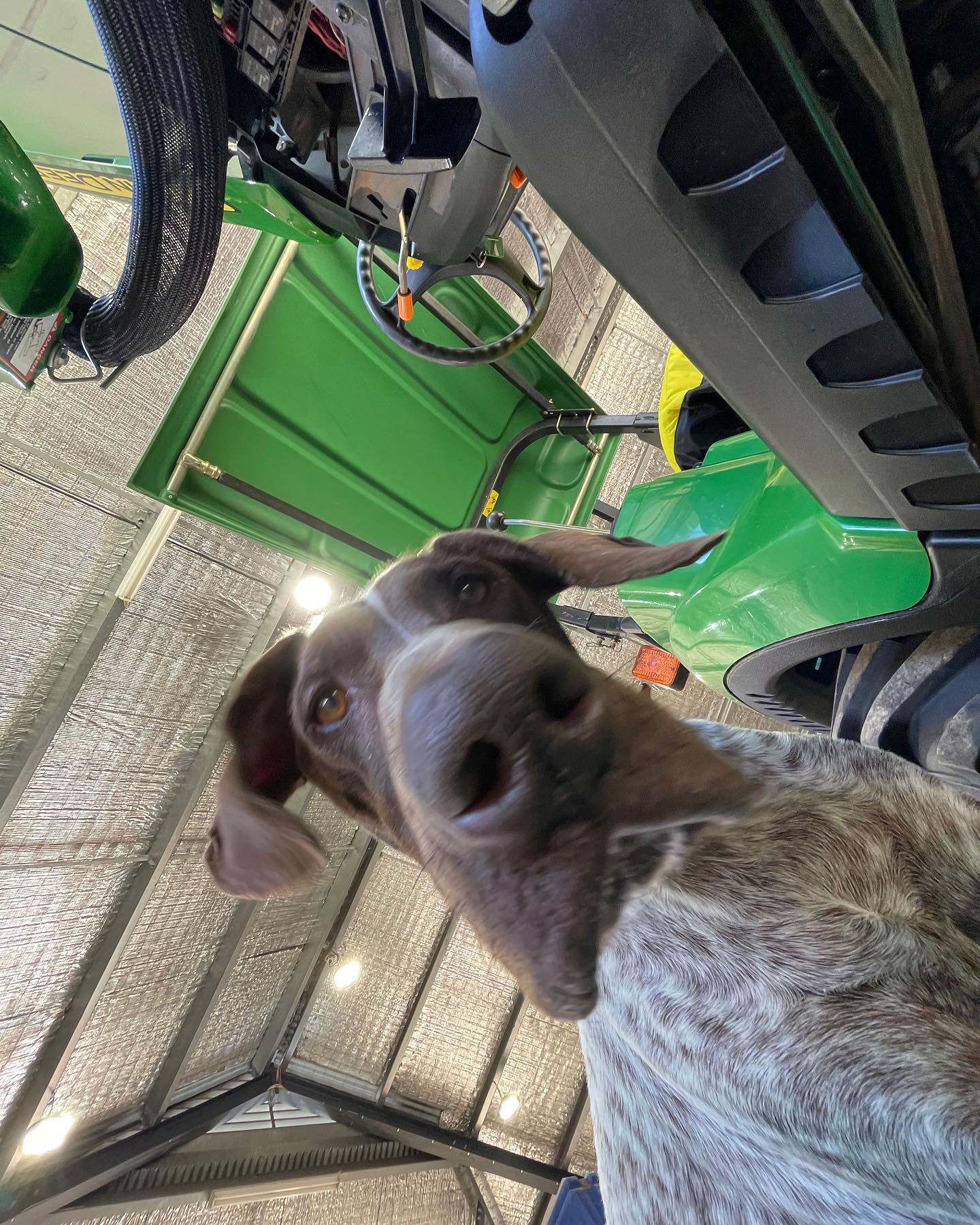 Every time working underneath a tractor #johndeere #ruben