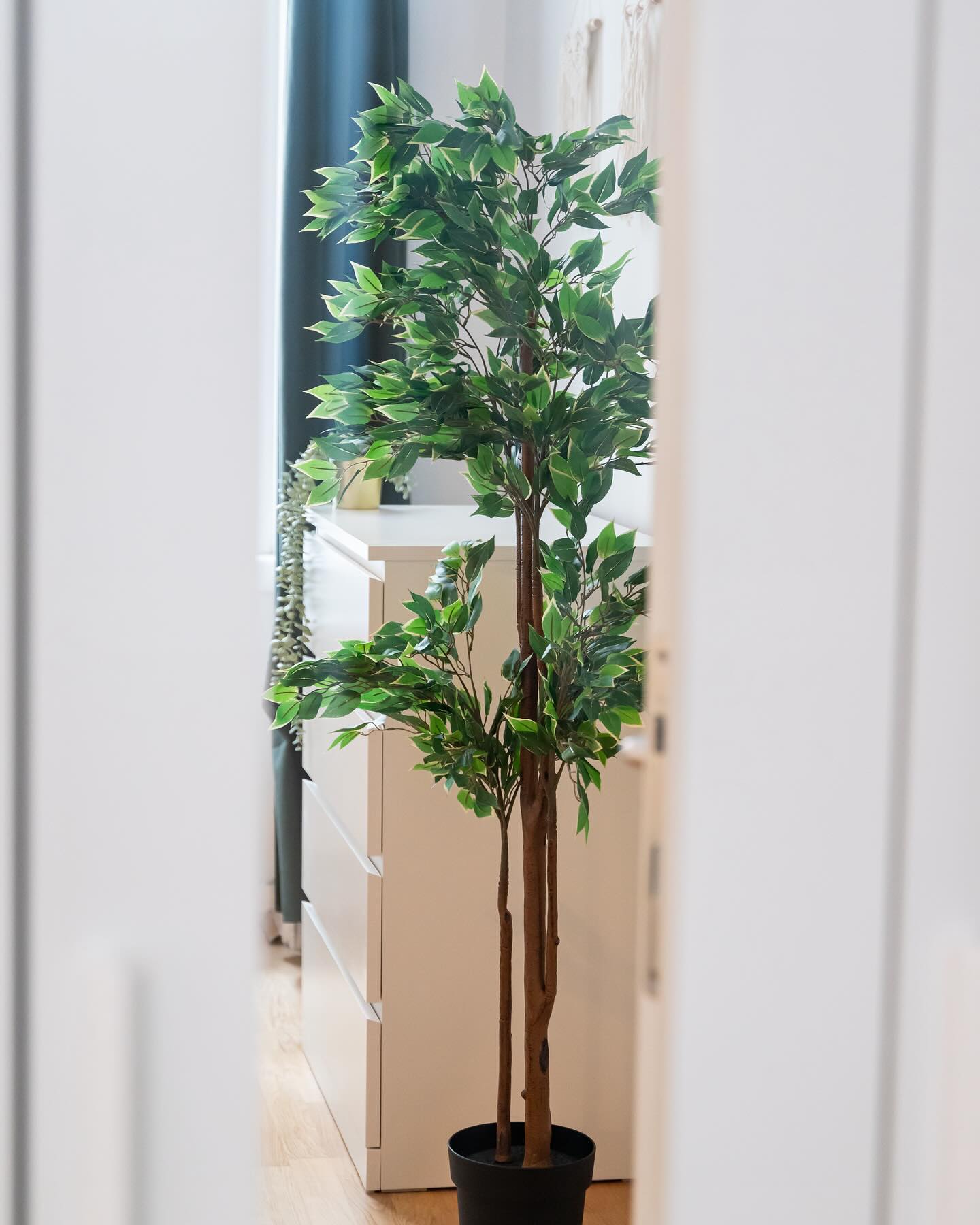 Your home away from home.
© @michaelsabothafotografie
#wien #vienna #travelvienna #citytrip #viennatouristboard #apartment #apartmentdecor #prater #praterwien #viennanow #viennaaustria #viennagram #riesenrad #riesenradwien #explorevienna #whattodoinvienna