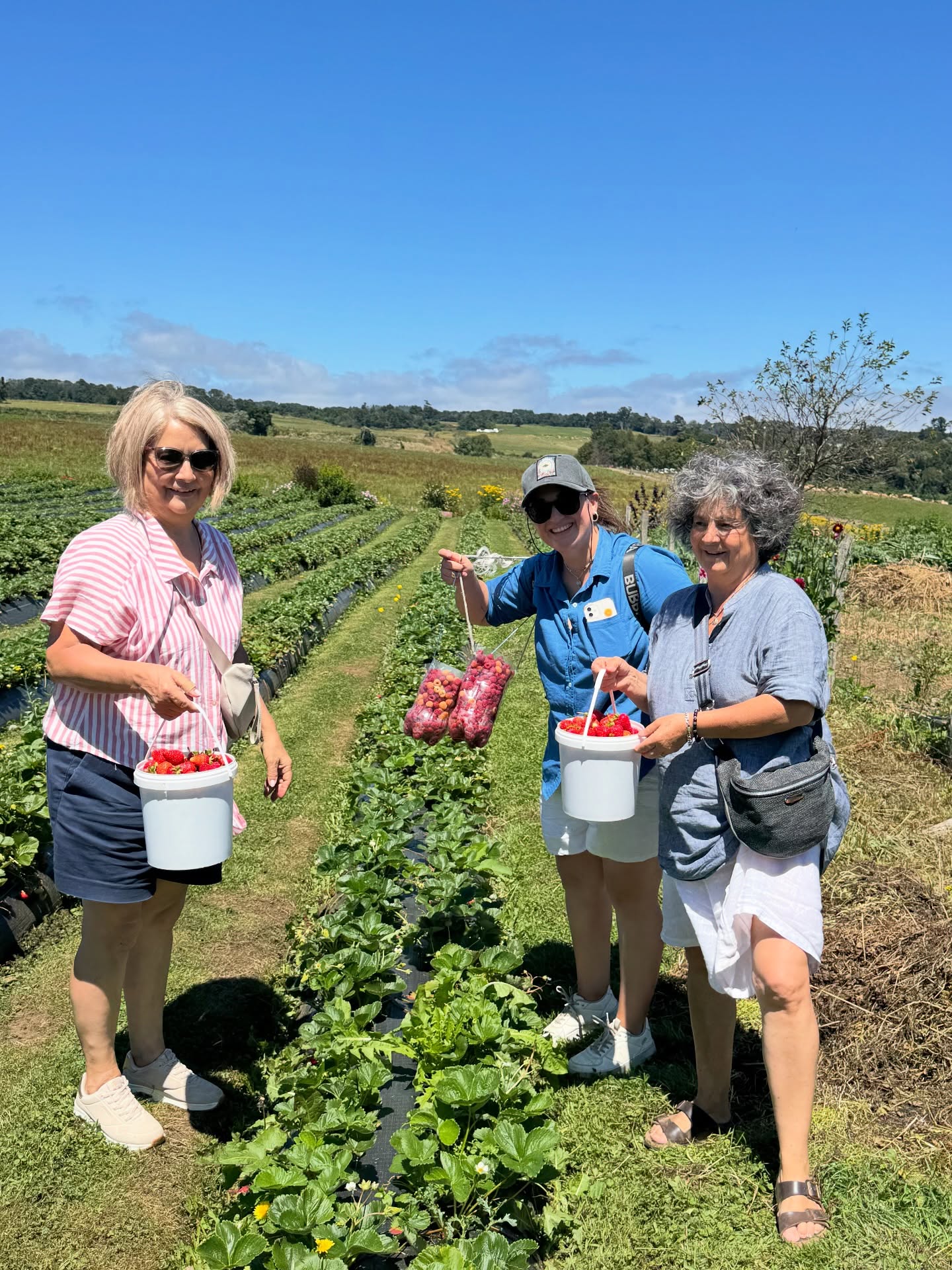 ¡Así de bien lo pasamos en el campo!
Ven a disfrutar de una experiencia única llena de inspiración en la naturaleza.
Abierto todos los días…
🌿visitas guiadas 10:30-12:00-14:00-15:30-17:00hrs
🍓autocosecha lunes a viernes 09:00-19:00, sábado 11:00-18:00 y domingo 12:00-18:00hrs
🦋escuelita de verano de lunes a viernes de 09:00-13:00
🧀tienda con delicias del campo
☕️cafetería de especialidad
Reservas en fundoplayavenado.cl
¡Te esperamos!