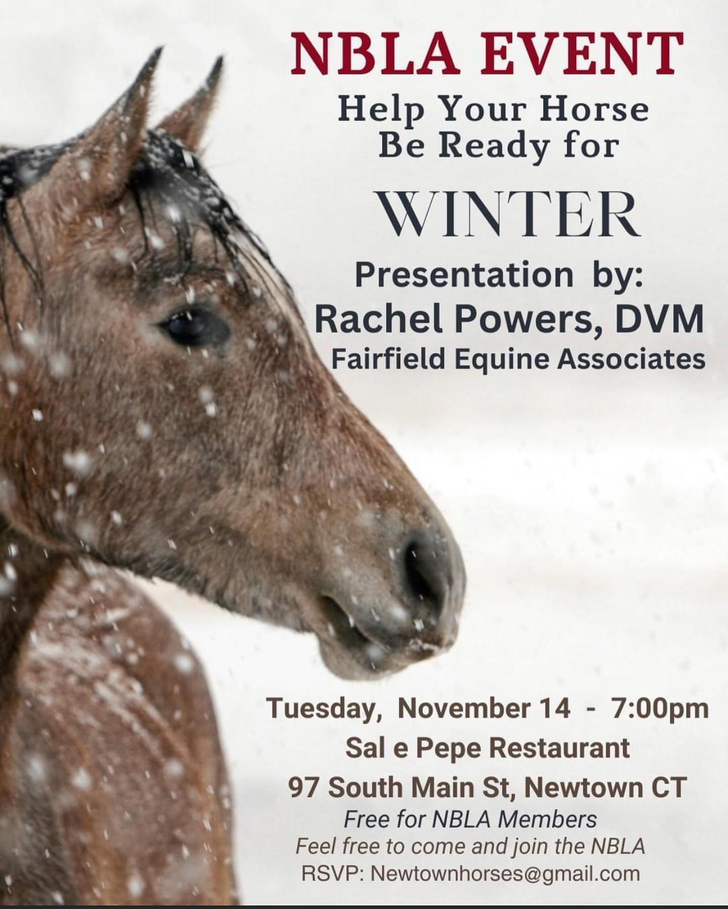 Dr. Rachel Powers from Fairfield Equine will present information on preparing your horse for winter. Winter can present special health challenges for our horses and it’s important to take care to avoid winter woes.
This meeting is for NBLA members. If you wish to attend but are not a member, you are welcome to join at the meeting.
RSVPs are appreciated!