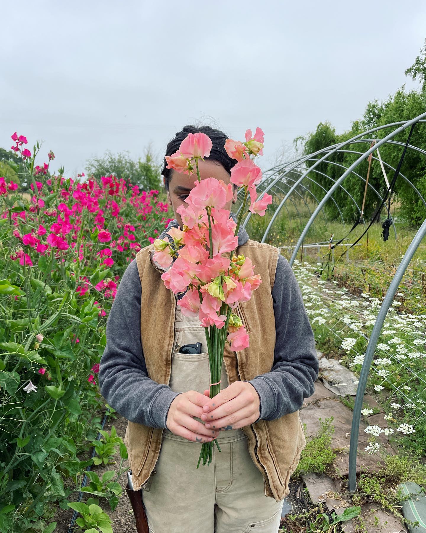Basking in the glory of these magnificent sweet peas! Our best crop to date. Something thrived in our long wet winter, at least! 😅