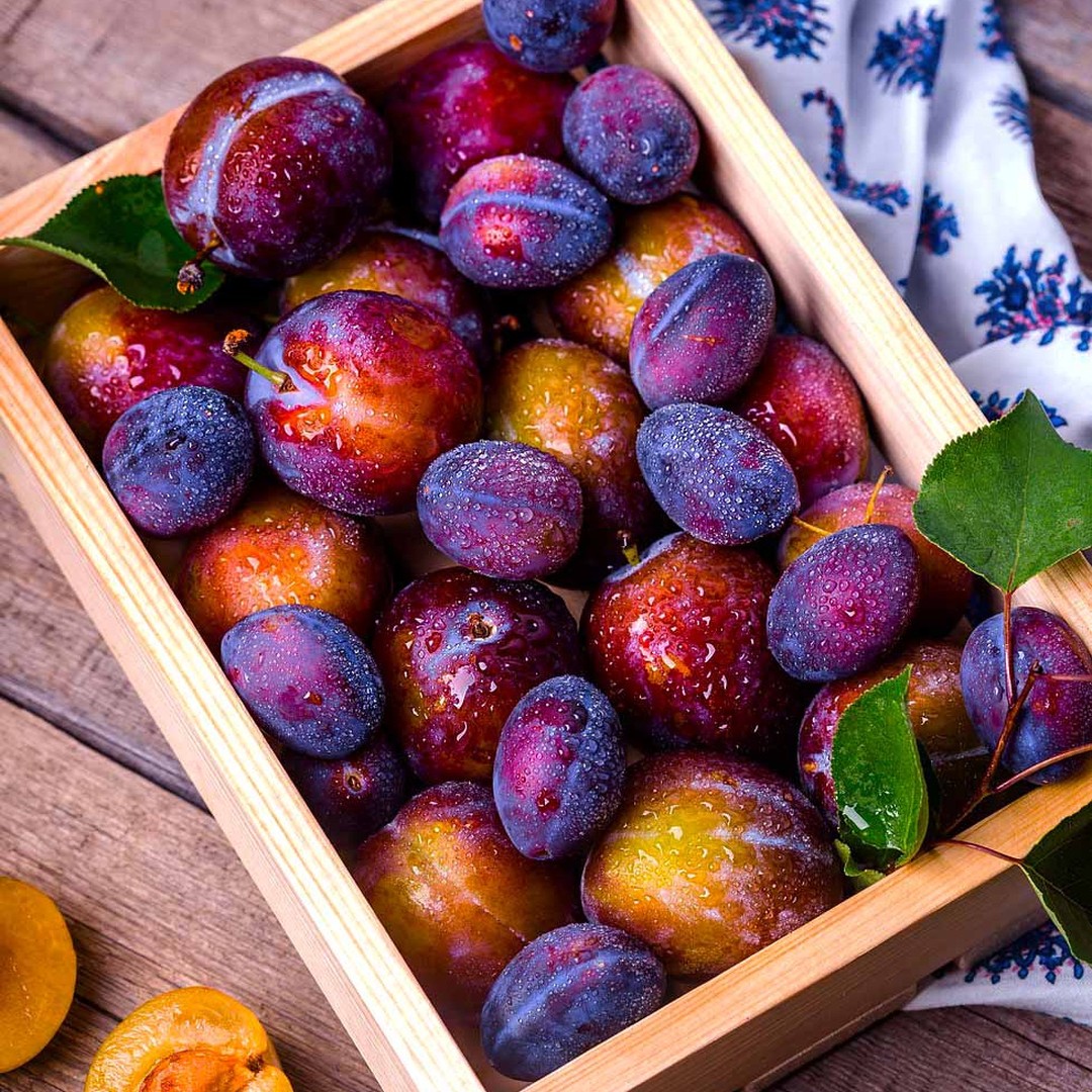 Fruit emblématique du Sud Ouest Français 🇫🇷
La prune très prisée notamment sous forme de pruneaux d’Agen, est très bénéfique pour l’organisme de par sa richesse en antioxydants, protéines et vitamine E. Que du Bonheur 😍
🎖Unique au Monde, notre partenaire, un petit producteur français a eu la brillante idée de revaloriser les amandons (noyaux) des « prunes non standards à la commercialisation », discriminées pour des critères physiques ainsi que les noyaux des pruneaux d’Agen jetés, en Huile Précieuse✨
♻️Une Extraordinaire innovation verte 0 déchets 🍃 permettant de profiter pleinement des vertus de la prune. Une huile qui n’existait pas auparavant !
💖Multi-bénéfices elle est parfaite en soin anti-âge pour les peaux matures, en soin nutritif adapté aux peaux sensibles, sèches, une huile sèche non comédogène idéale pour les peaux grasses. De quoi faire de très belles économies en optant pour la simplicité à l’état pur et aux vertus optimum 🤩
Le Naturel il n’y a rien de mieux ✨
#innovationverte #innovationfrancaise #petitproducteur #producteurfrancais #huilevegetale #huileseche #huiledeprune #huiledeprunefrançaise #bio #cosmetiquenaturelle #soindepeau #soindepeaunaturel #soinantiage #peausensible #peaumature #peaugrasse #naturalskincare #organicskincare #naturalcosmetics #plum #plumoil #madeinfrance #frenchplum #frenchoil #terroir #terroirfrançais #frenchproducer #naturare #naturarebio #naturarefr