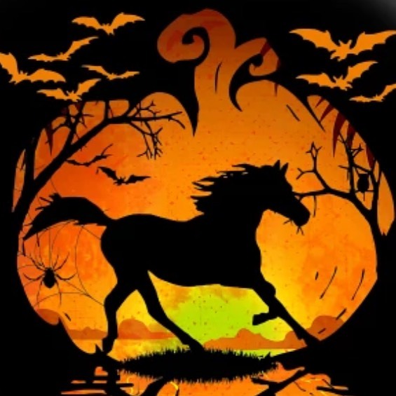 Frost on the Pumpkin Pace is coming soon!!! Get your registration in and get those costumes ready!
#NBLACT #FOTP #HunterPaceSeason #NewtownCT #FairfieldCountyEquestrian #CostumeContest