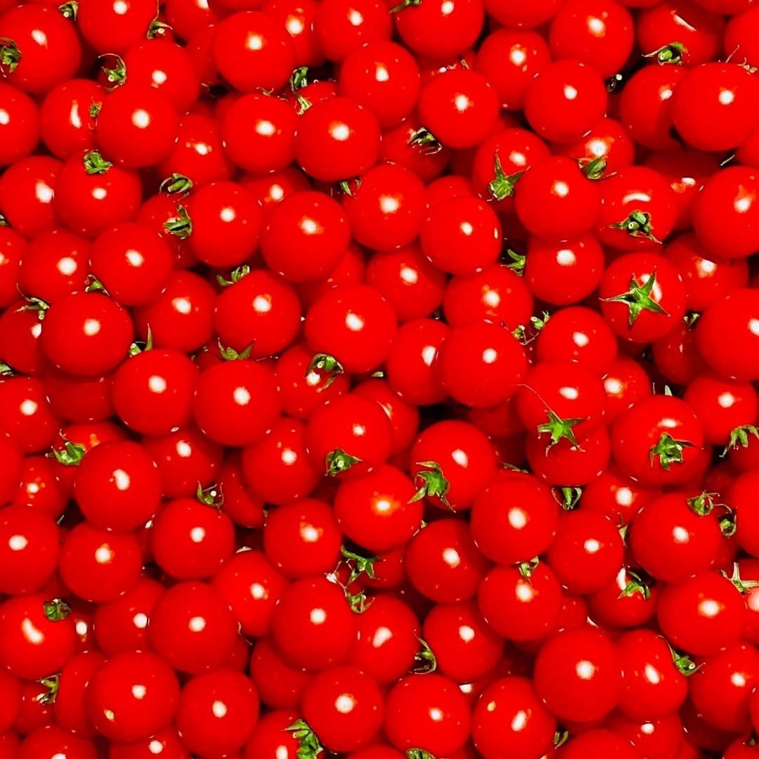 🍅La beauté éblouissante des tomates cerises
🍅croiser ces merveilles quand je me balade au marché.
. #vegetables #zerodechet #zerowaste #tomate #veggie #veggiefood #beauté #legumes #bonheursimple #reuse #vrac #vegan #auberginejaponaise #slow #slowlife #beauté #contemplation #red #mamiecolettezérodechet #coursezerodechet #été #summer #plaisirsimple