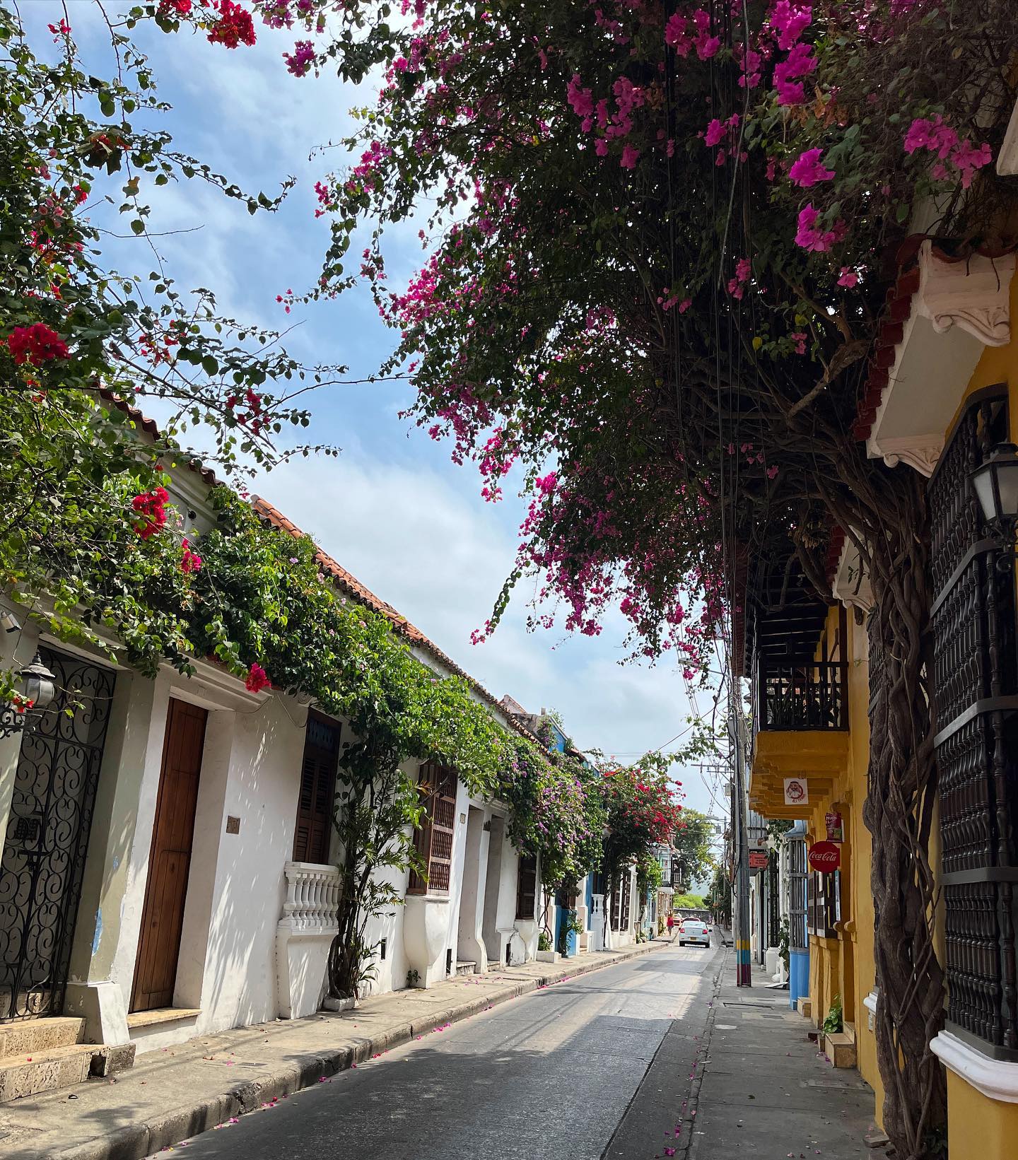 Check out how we did Colombia in 7 days 👉🏼nextstopweekendnyc.com
#colombia #cartagena #visitcolombia #travelcolombia #travel #travelitinerary #wandetrlust #travelblogger #traveler #travelsouthamerica #southamerica #picoftheday #travelphotography #travelpics #tourist #caribbean #earth #travelgram #photo #photography #photooftheday