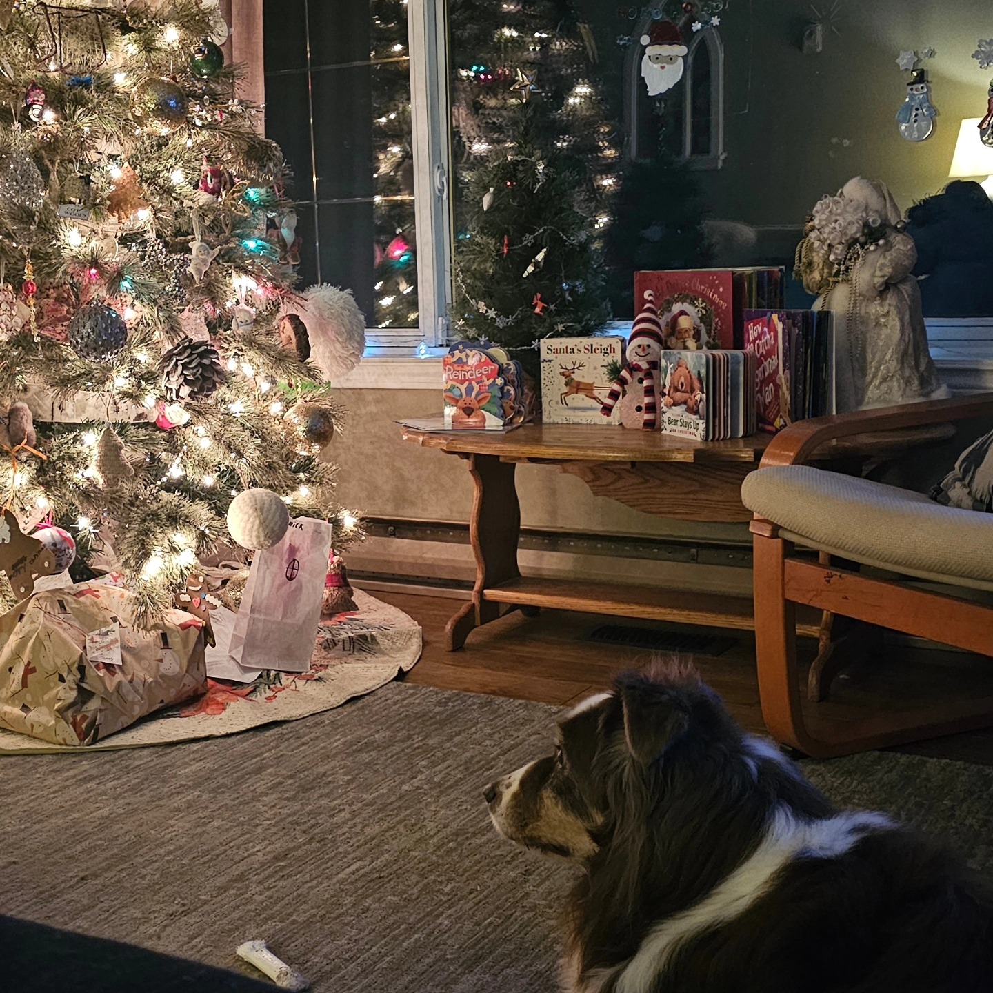 Christmas 2023🎅🐾