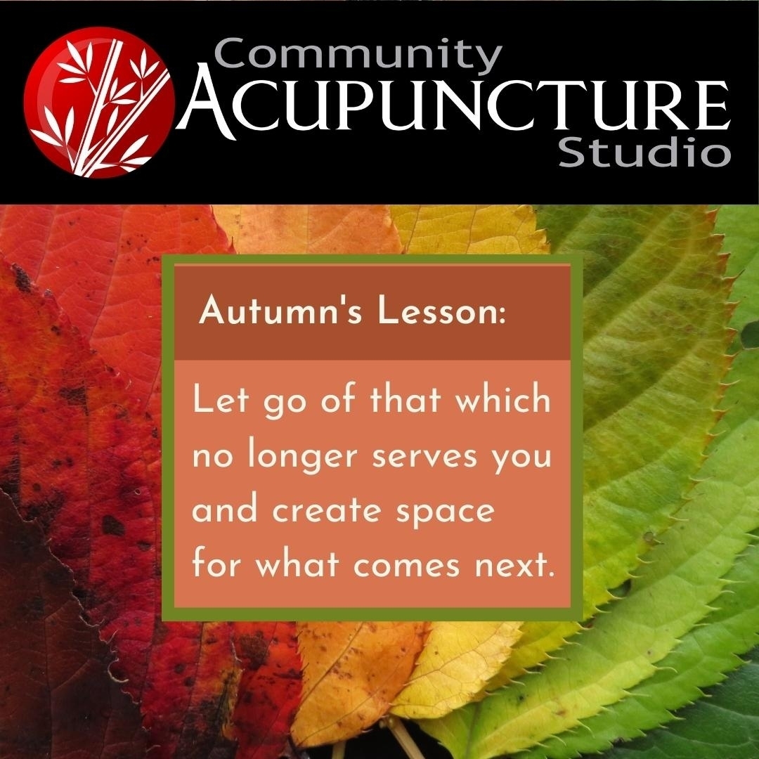Autumn teaches us to let go of whatever no longer serves our highest good, and in letting go, create room for something else that is better suited to our own personal evolution and growth. It reminds us that everything has a season and there are cycles in our life and cycles in our growth.