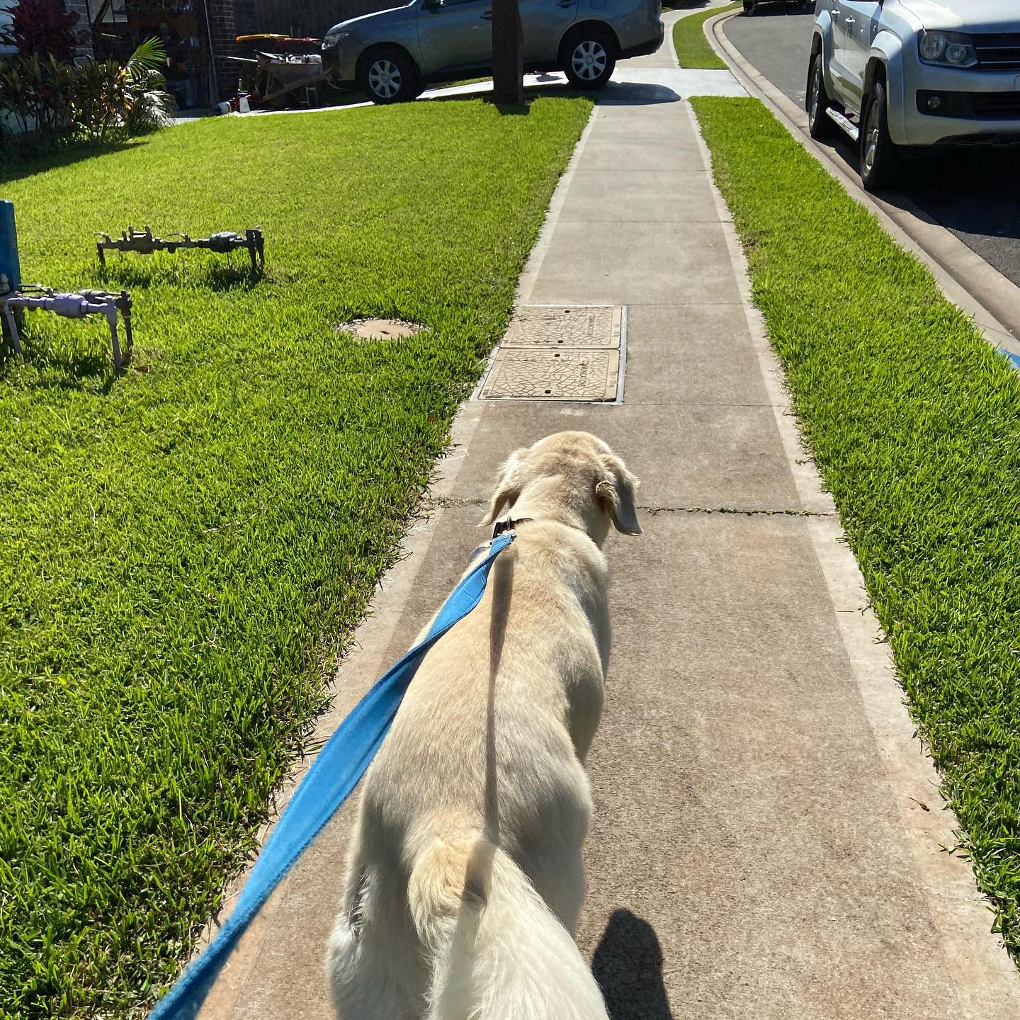 Still street legal. Put your shoes on! #getmoving #stillallowedtoexercise #walkwalkwalk #putyourshoeson #activelife #socialdistancing