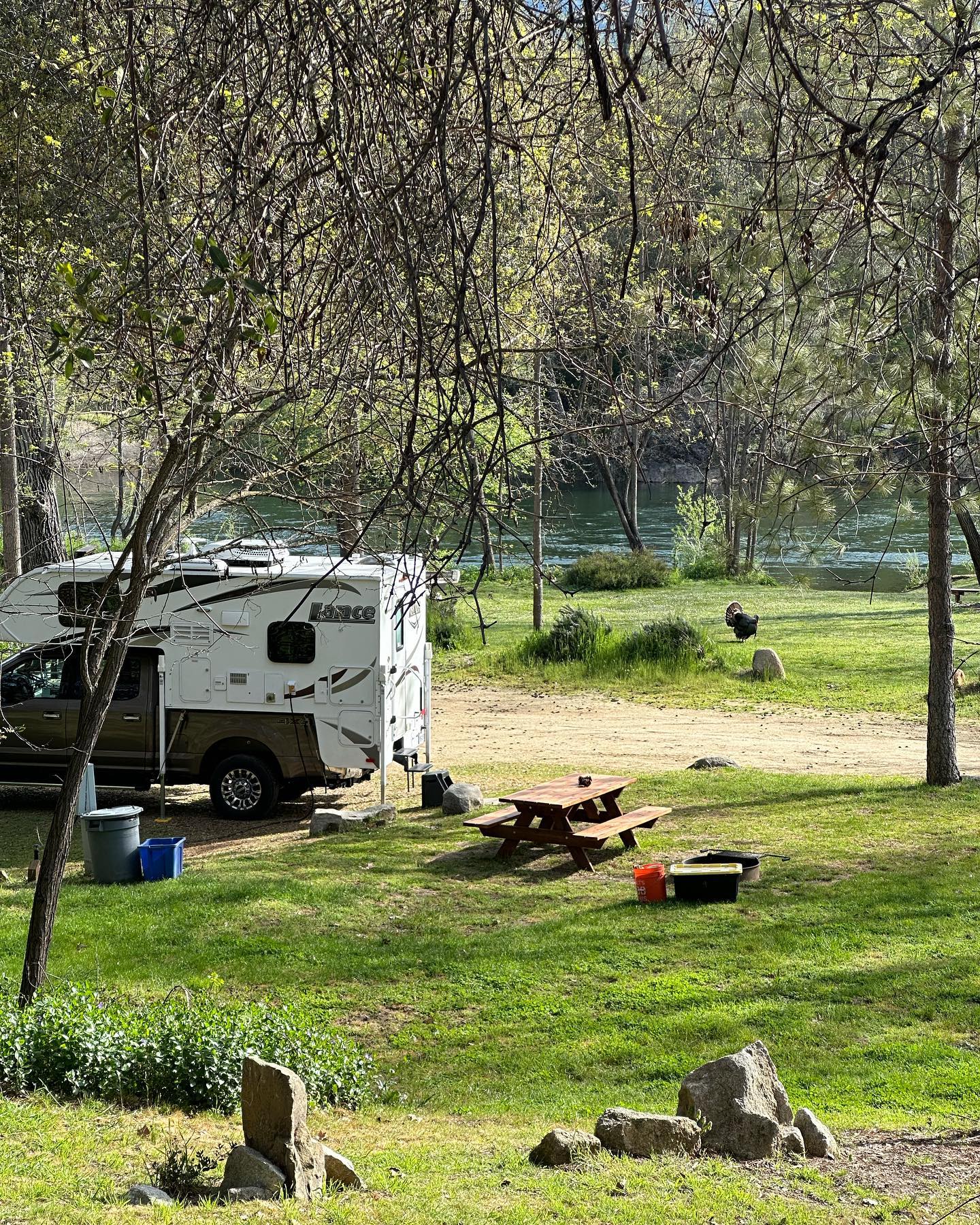 Spring weather, good flows, blue water, and lots of π¦!
#camplotus #southforkamericanriver #campingincalifornia