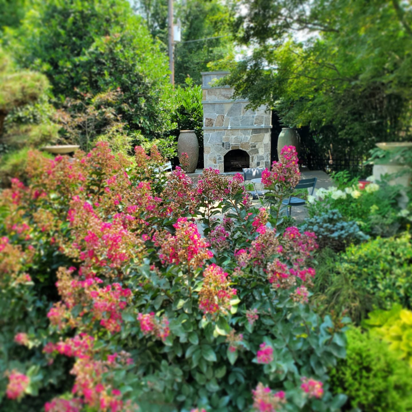 This winding path gives a peak at the patio seating area with an outdoor fire place and bench 🧘♀️🌄
#landscapedesign #landscapearchitect #landscaping #virtualdesign #outdoorspace #outdoor #getoutside #justbloodypostit #gardeninspiration #smallbusiness #womanownedbusiness #bloom #castironlandscape #setitandforgetit #lowmaintenance #beautiful #springiscoming #triedandtrue #fresh #Spotlight #deerresistantplant #motorcycle #themountainsarecalling #petfriendly #runner #running #blueridgeparkway #lentenrose #helleborelove