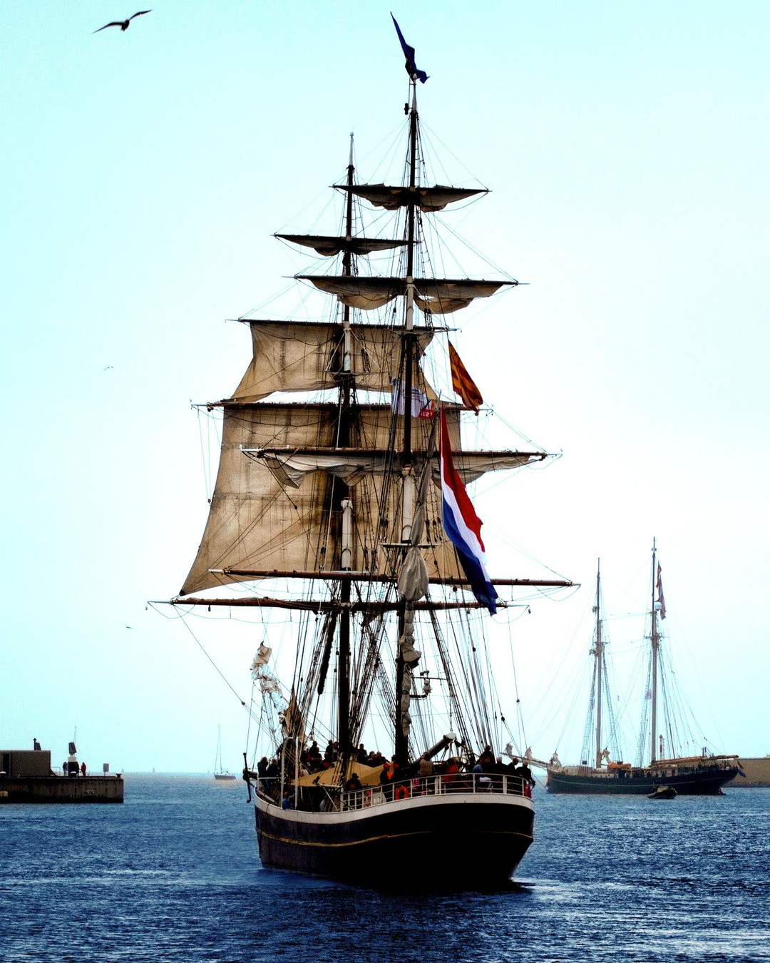 Notre quête de ✨Régénération Ultime ✨ nous amène à la découverte de Merveilles insoupçonnées 🌿
Nous prenons le large pour vous dénicher La Perle Rare 💖
Longtemps recherchée, nous l’avons enfin trouvée…
Gorgée de bienfaits exceptionnels, elle dépasse toutes nos espérances 😍
Mêlant Rareté & Exception, ses vertus sont incroyables ! De récentes découvertes ont mis en évidence son caractère unique confirmant sa Haute Efficacité. Les chercheurs n’en reviennent pas !
🌿La Nature nous offre des Miracles…✨
Our quest for ✨Ultimate Regeneration ✨ leads us to the discovery of unsuspected Wonders 🌿
We set sail to unearth for you La Perle Rare 💖
Long sought-after, we've finally found it...
Packed with exceptional benefits, it exceeds all our expectations 😍
Combining Rarity & Exception, its virtues are incredible! Recent discoveries have highlighted its unique character, confirming its High Efficacy. Researchers can't believe it!
🌿Nature gives us Miracles...✨
#regeneration #complementalimentaire #soinnaturel #nutrition #nutritioncoach #superaliment #superfood #agriculturebiologique #nature #naturelovers #phytotherapie #phytotherapy #aromatherapy #aromatherapie #naturopathie #naturopathy #naturopathe #cellulesouche #santenaturelle #travelblogger #beautybloggers #remedenaturel #alternativenaturelle #alternativevegan #veganfood #vegan #naturare #naturarebio #naturarefrance #naturarefr